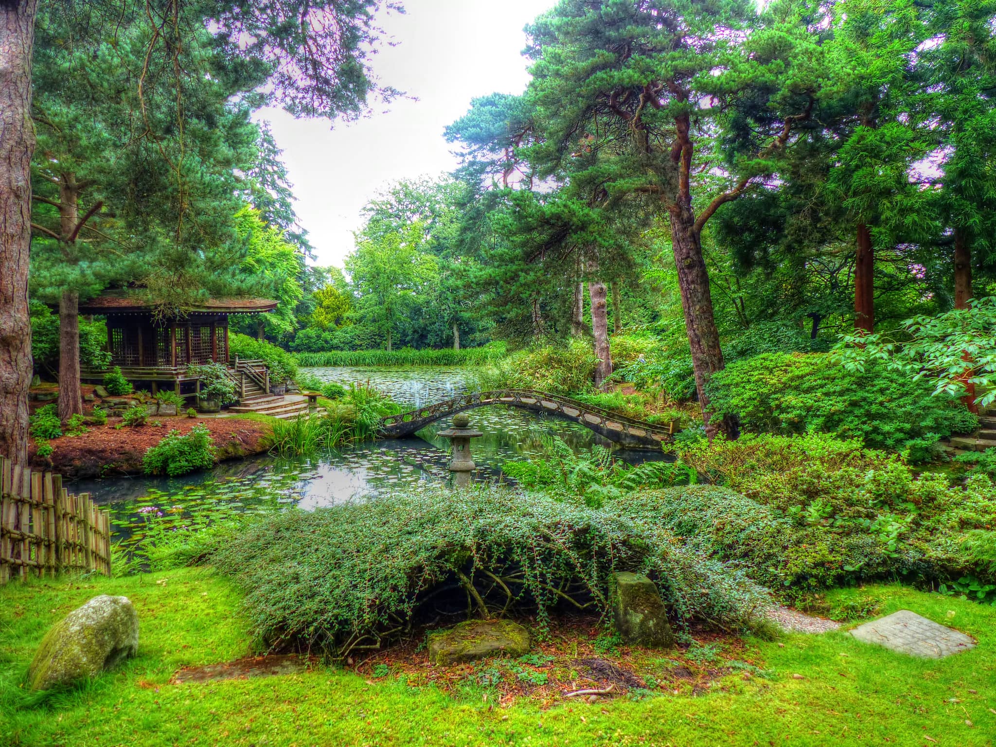 Japanese Garden Serenity