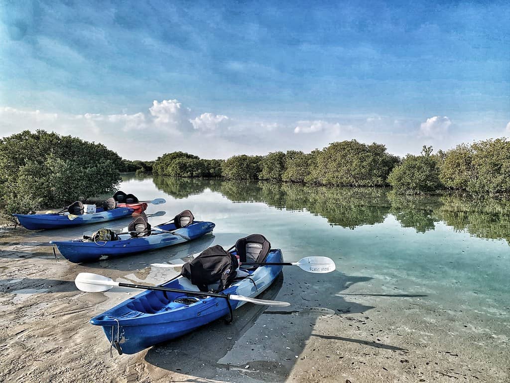 Mangrove Boardwalk