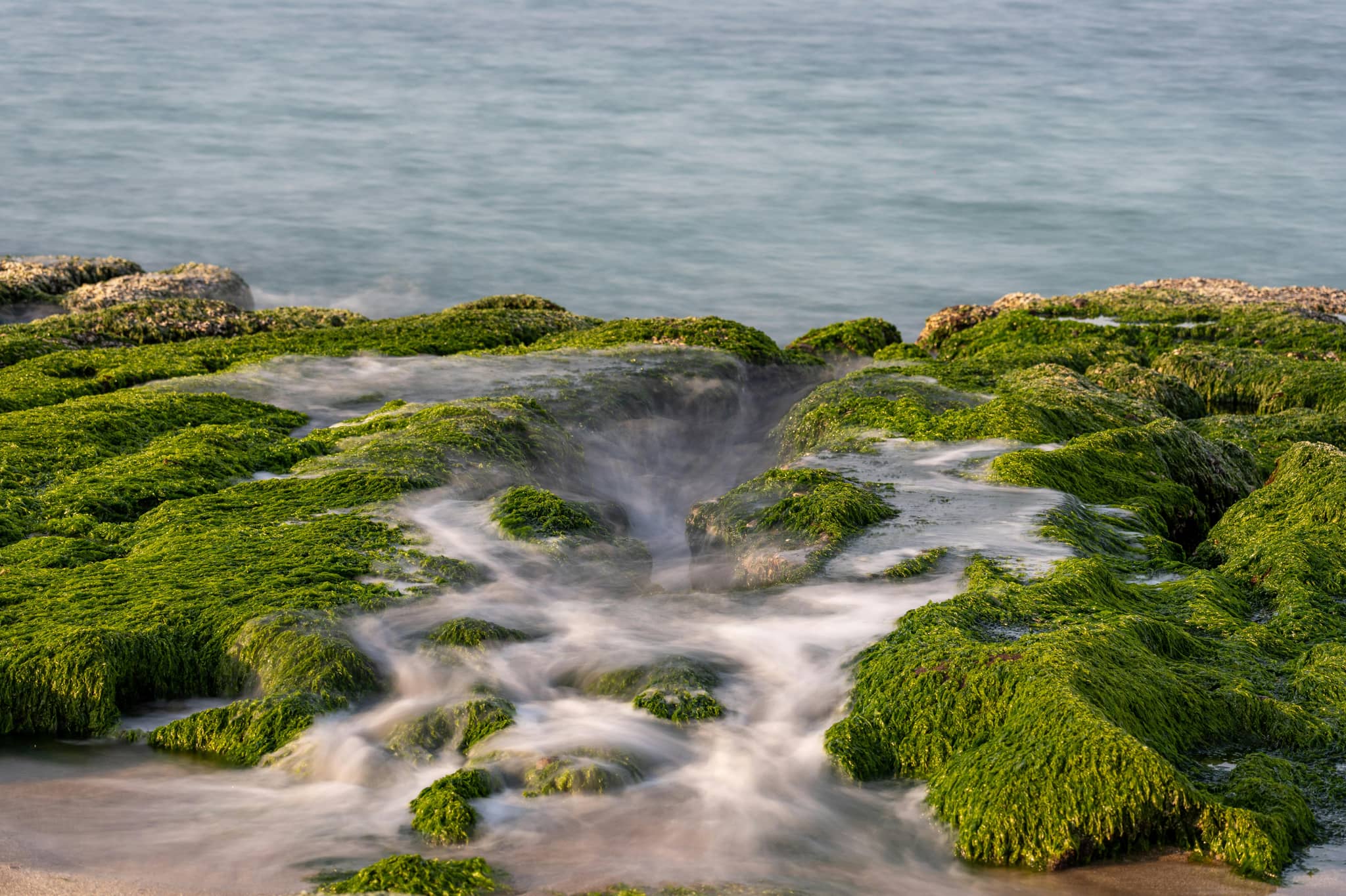 Rock Pool Exploration