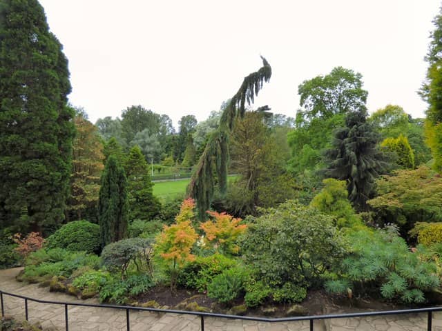 Open Plains and Tall Trees
