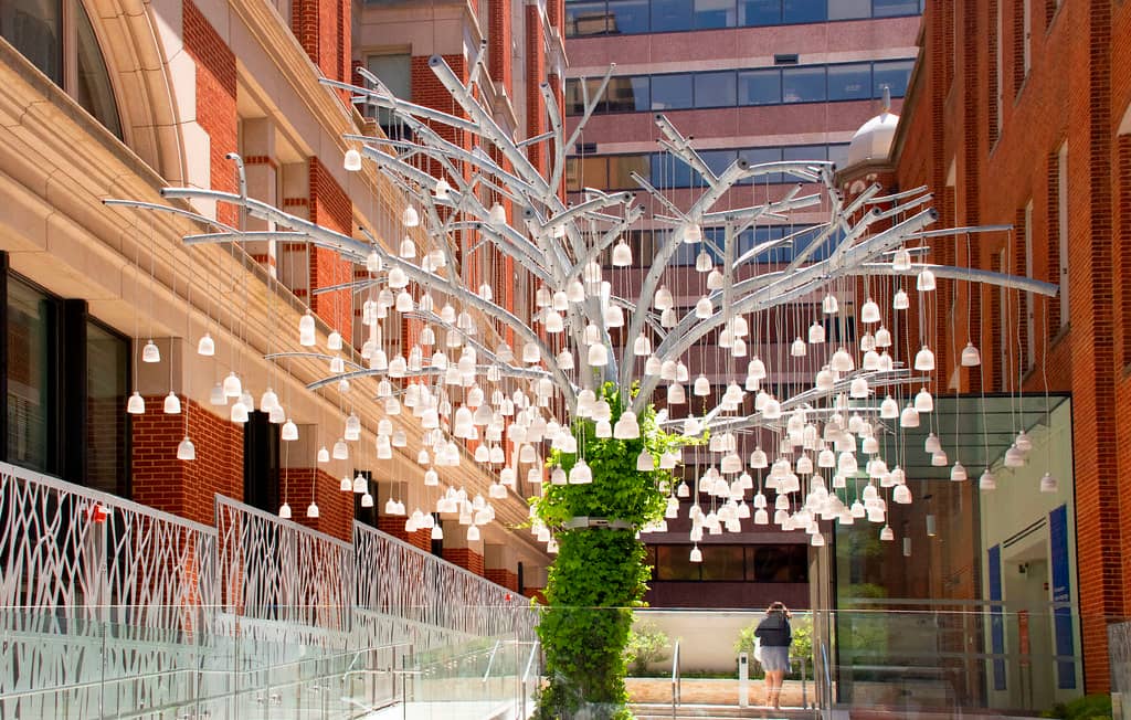 Temporary Exhibitions