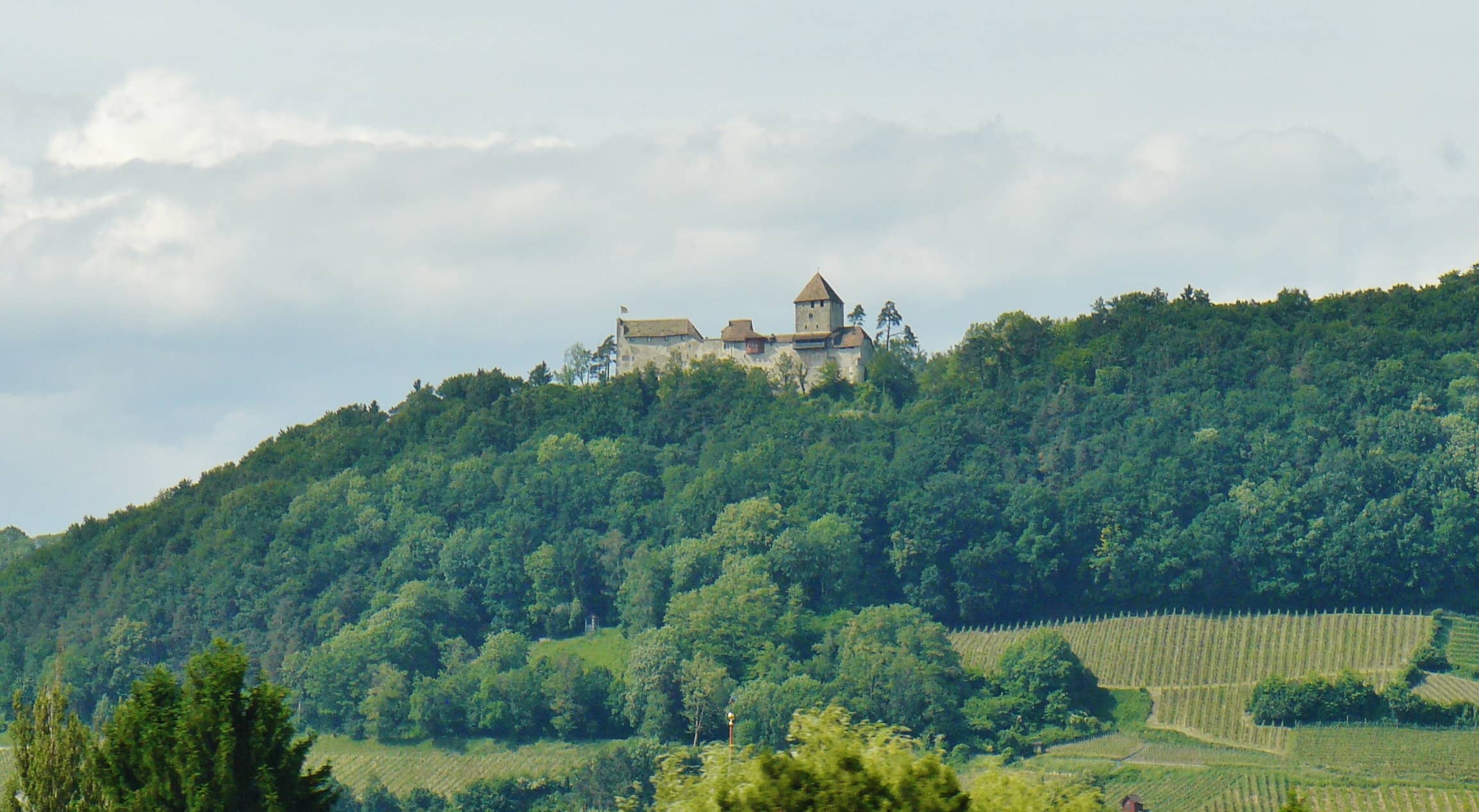 Hohenklingen Castle
