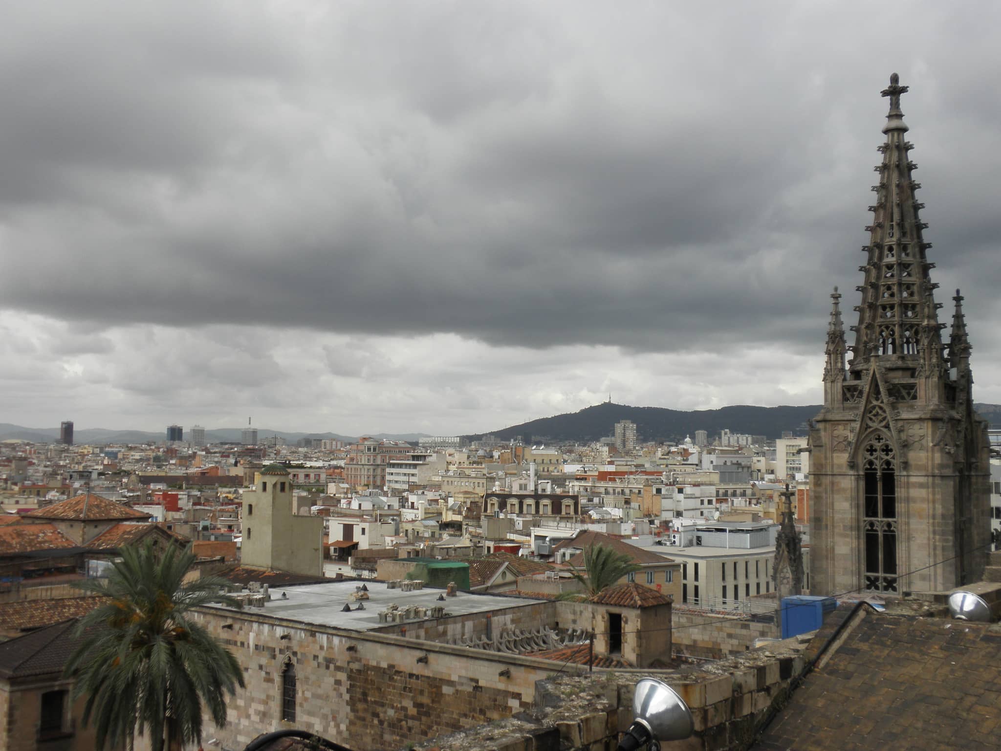 Rooftop Views