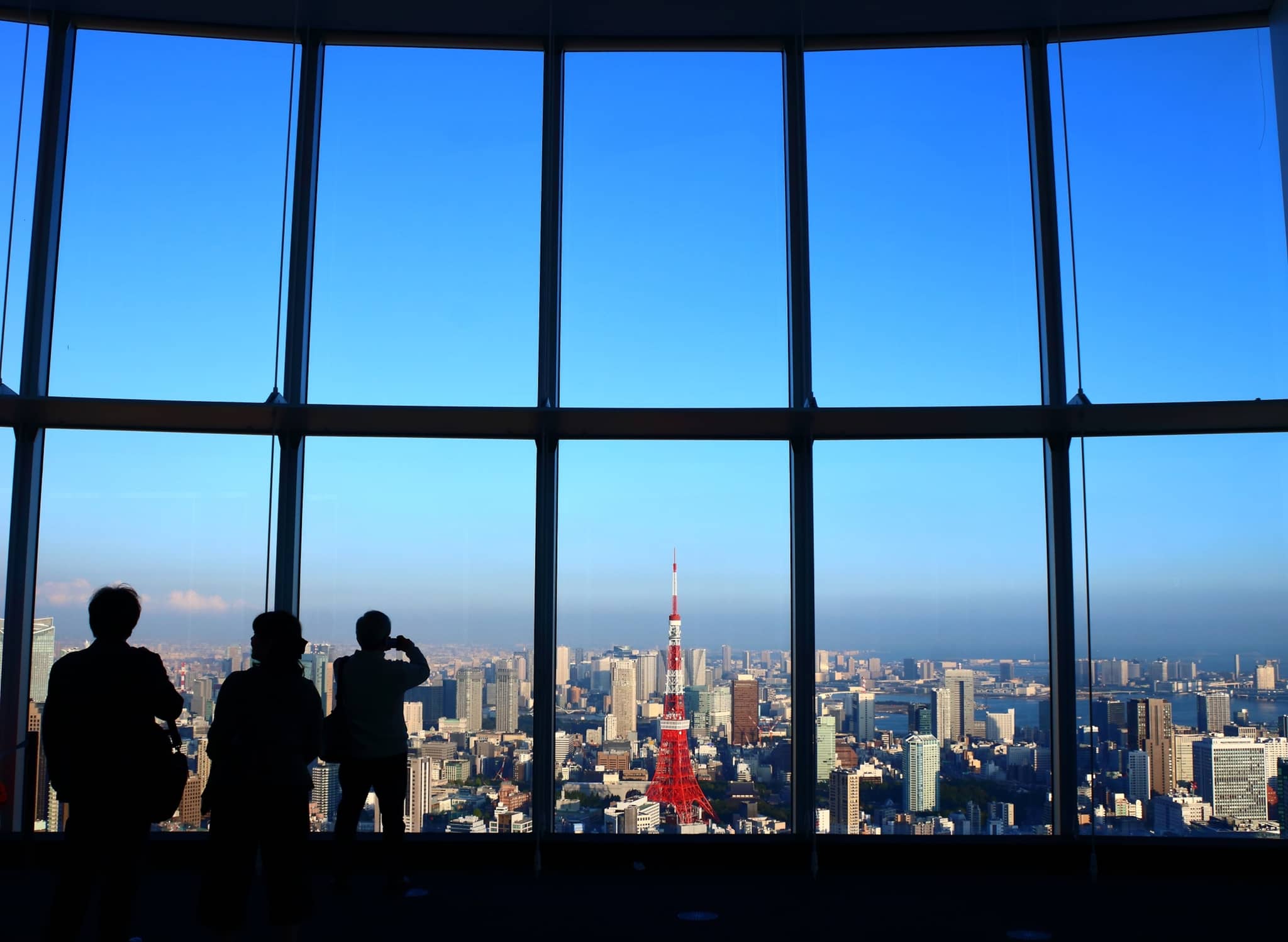 Panoramic City Views