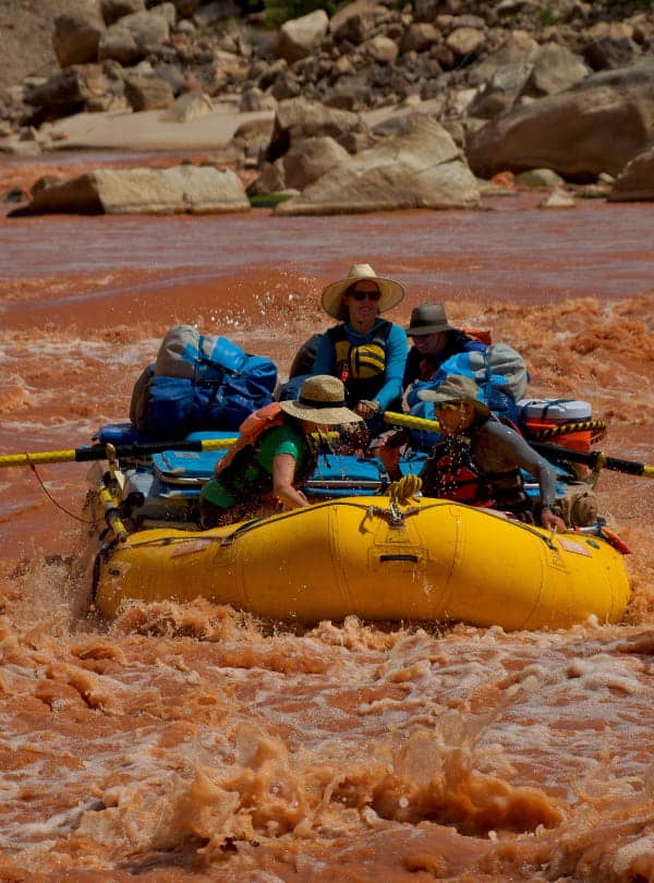 Dog-Friendly Adventure