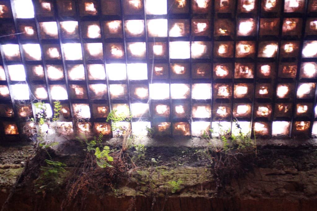 Purple Glass Skylights