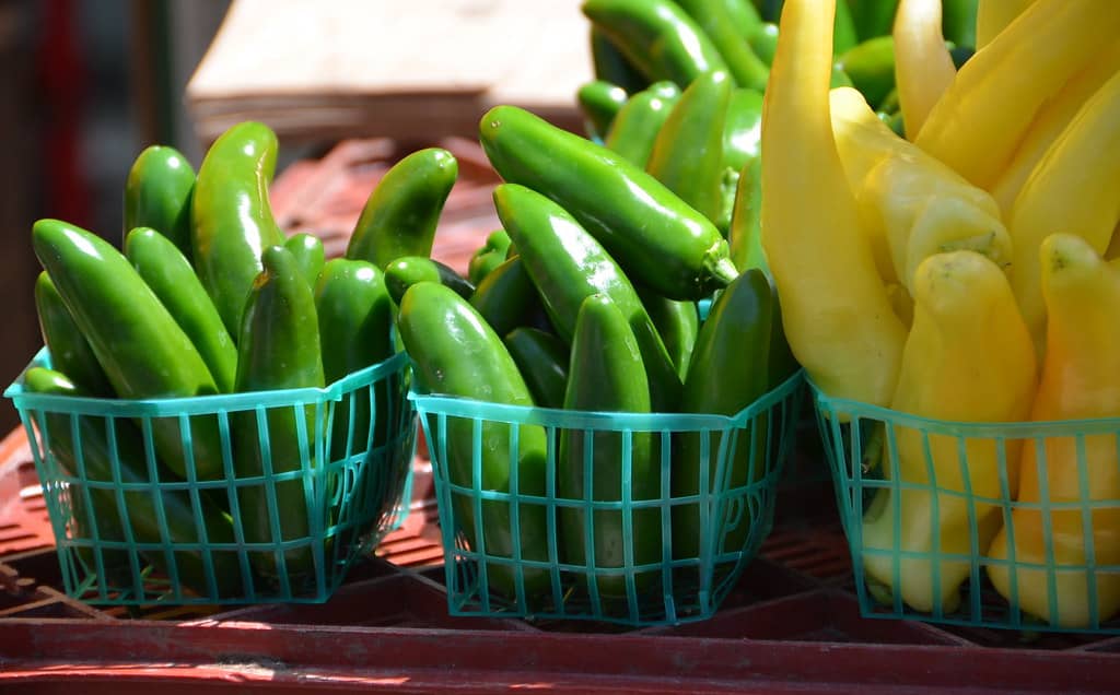 Fresh Produce Galore