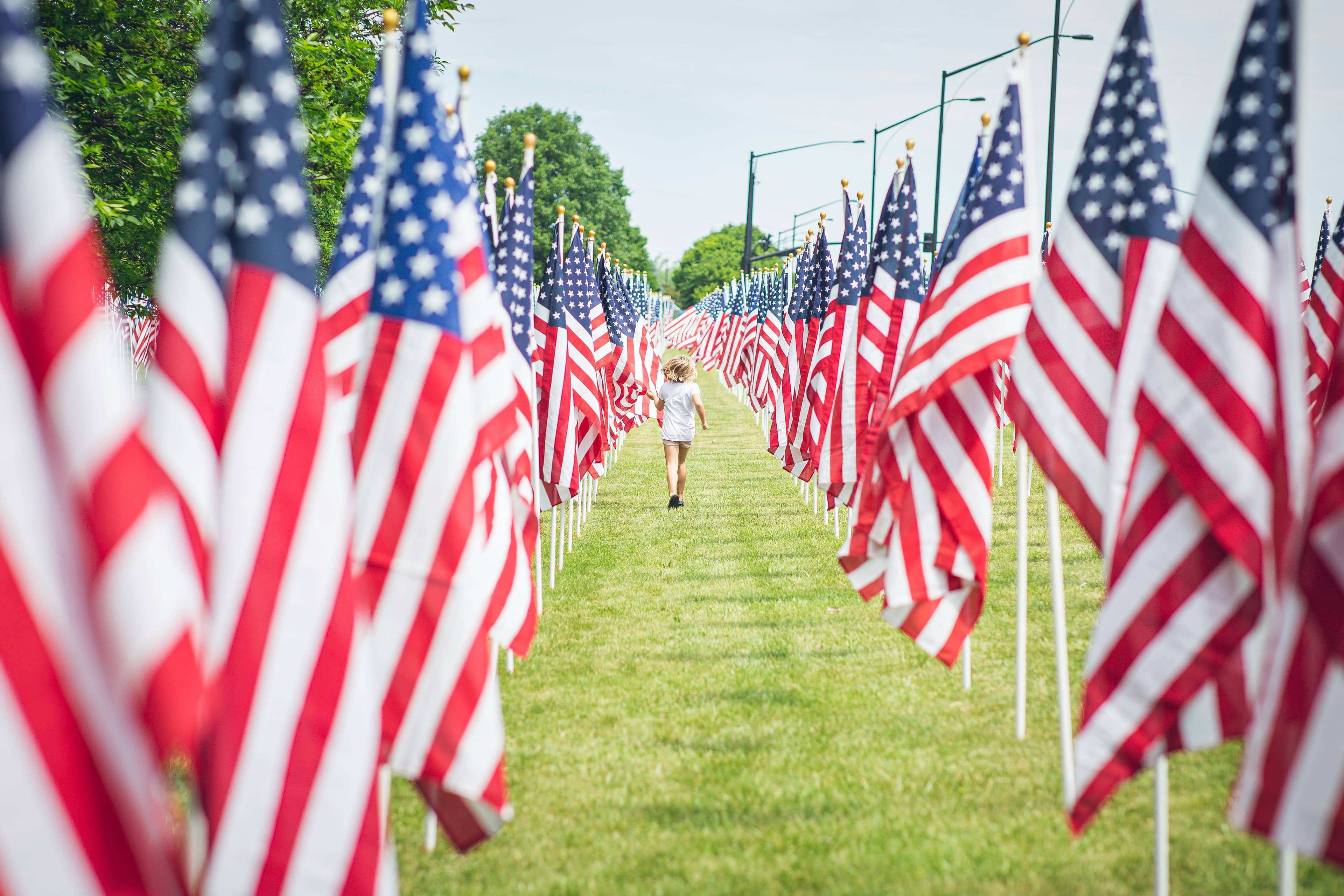 Field of Flags