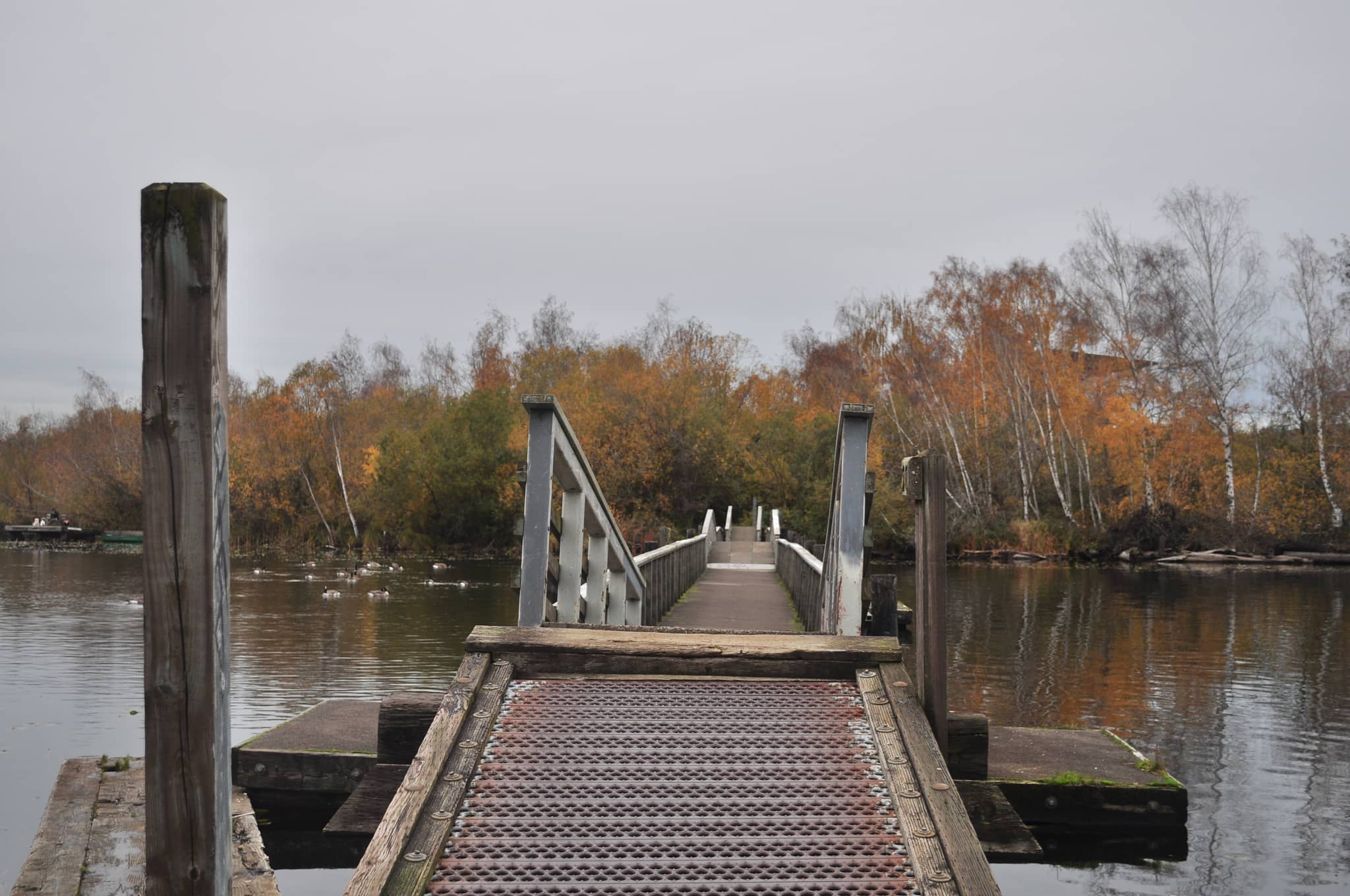 Foster Island Trail