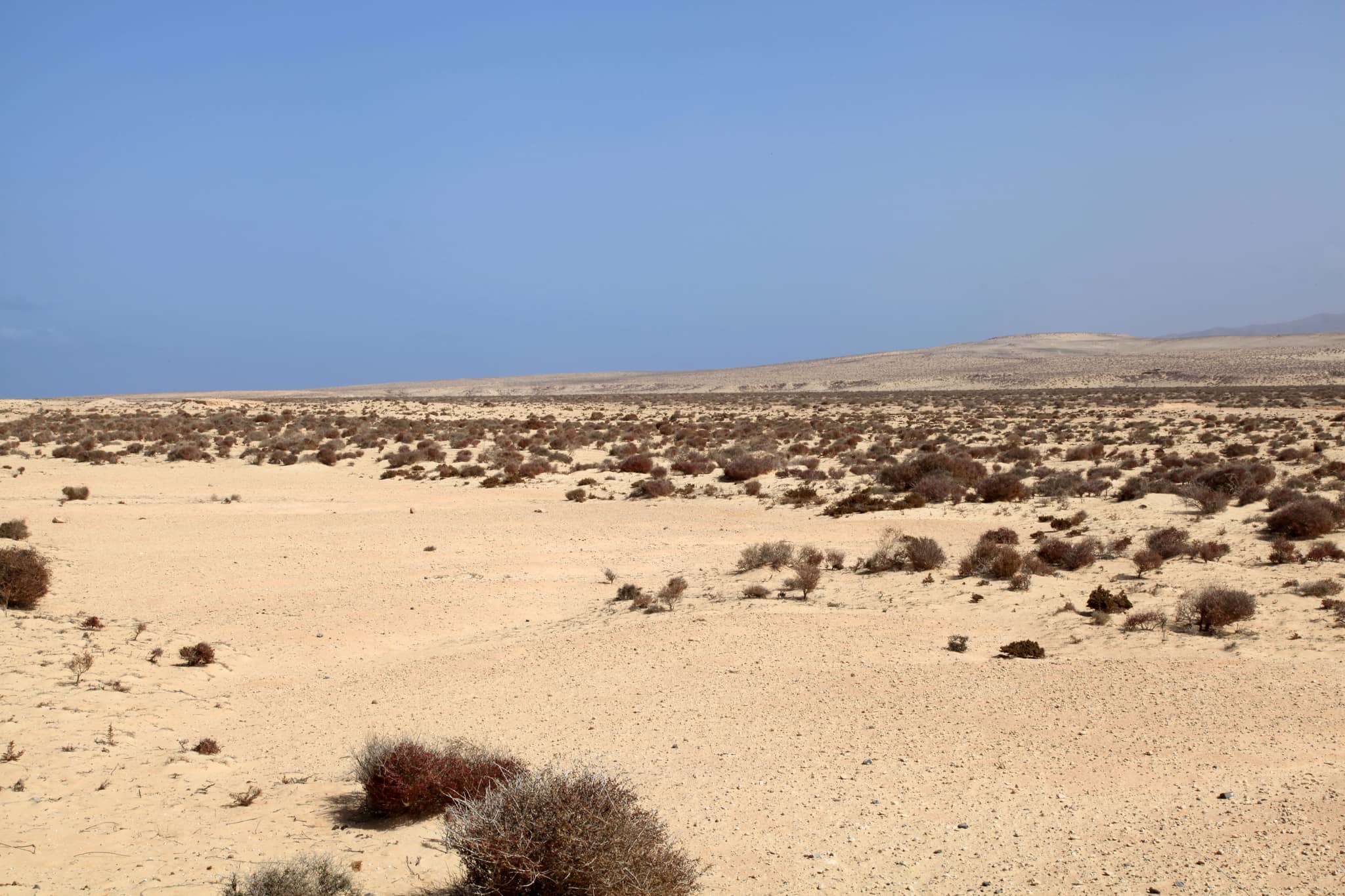Sand Dunes