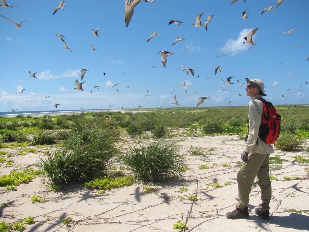 Birdwatching Haven