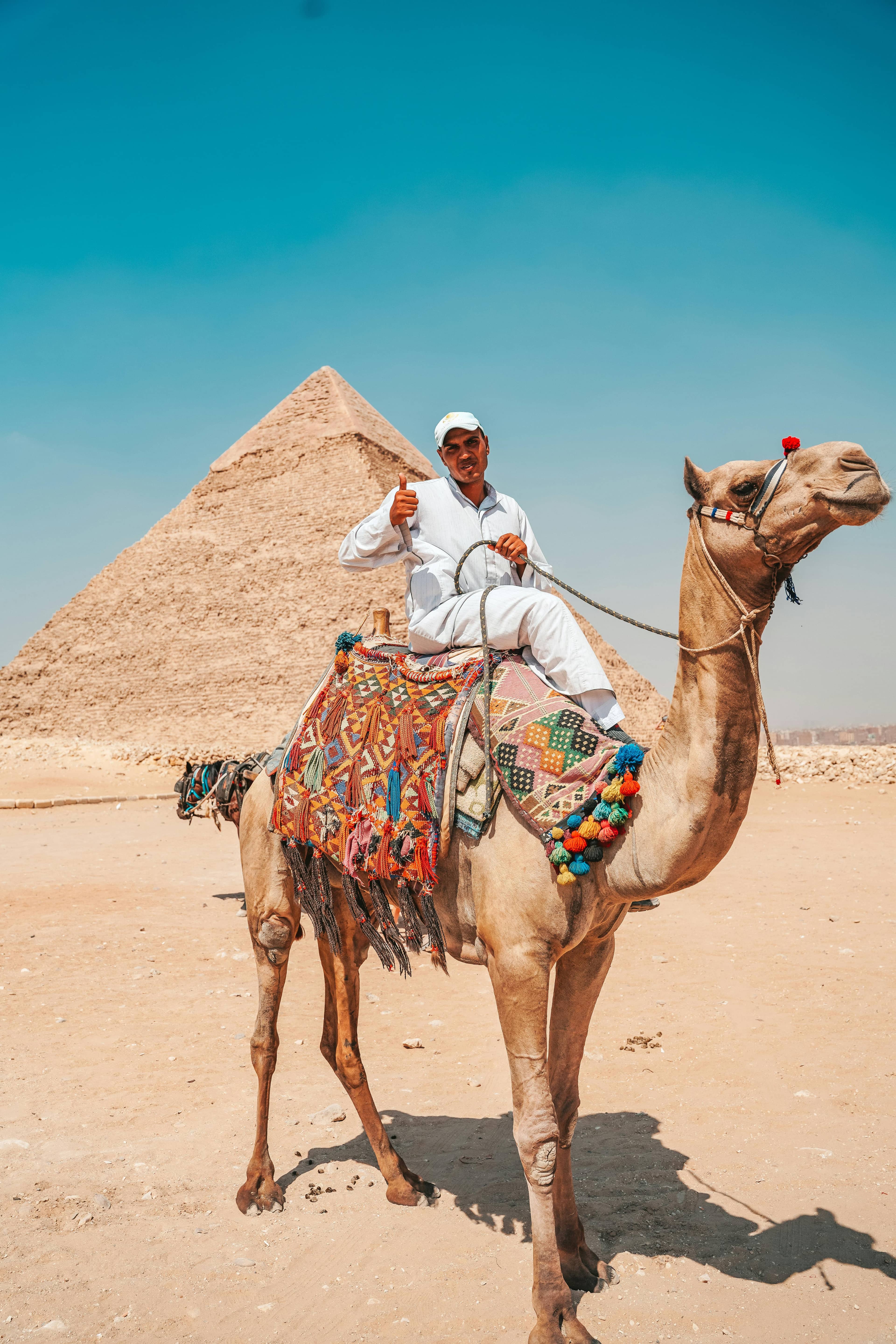 Camel & Horseback Rides