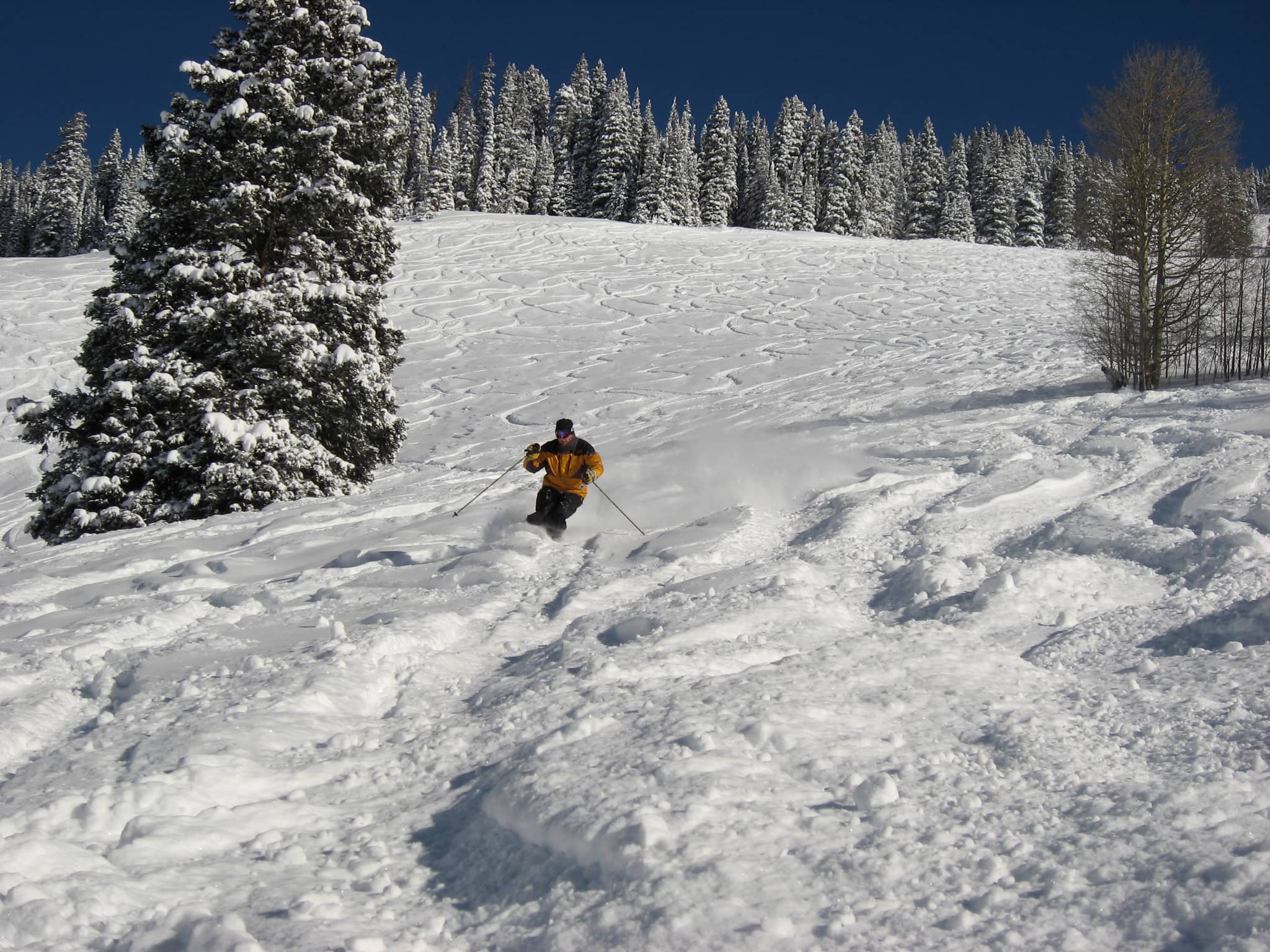 Powder Days