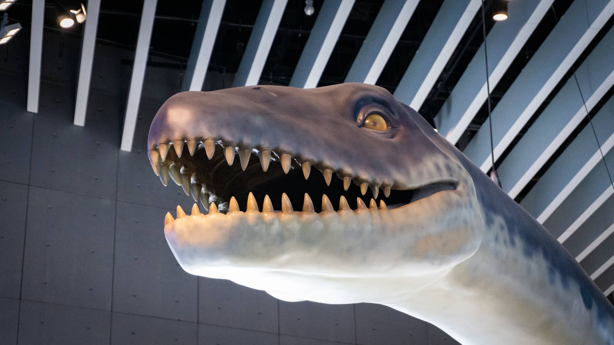 Biodiversity Exhibits