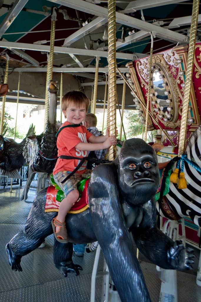 Children's Zoo Fun