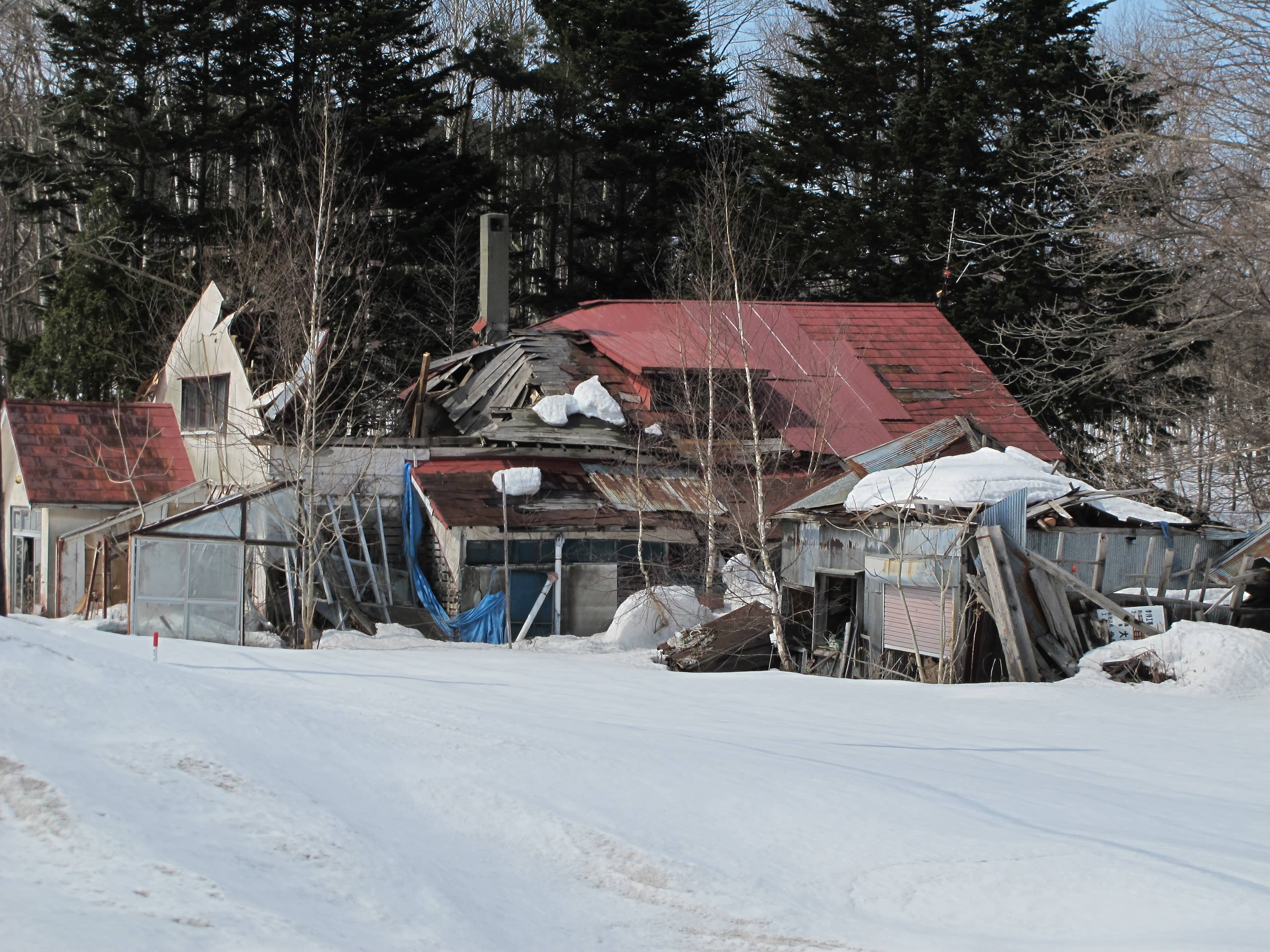 Winter Snowscape Magic