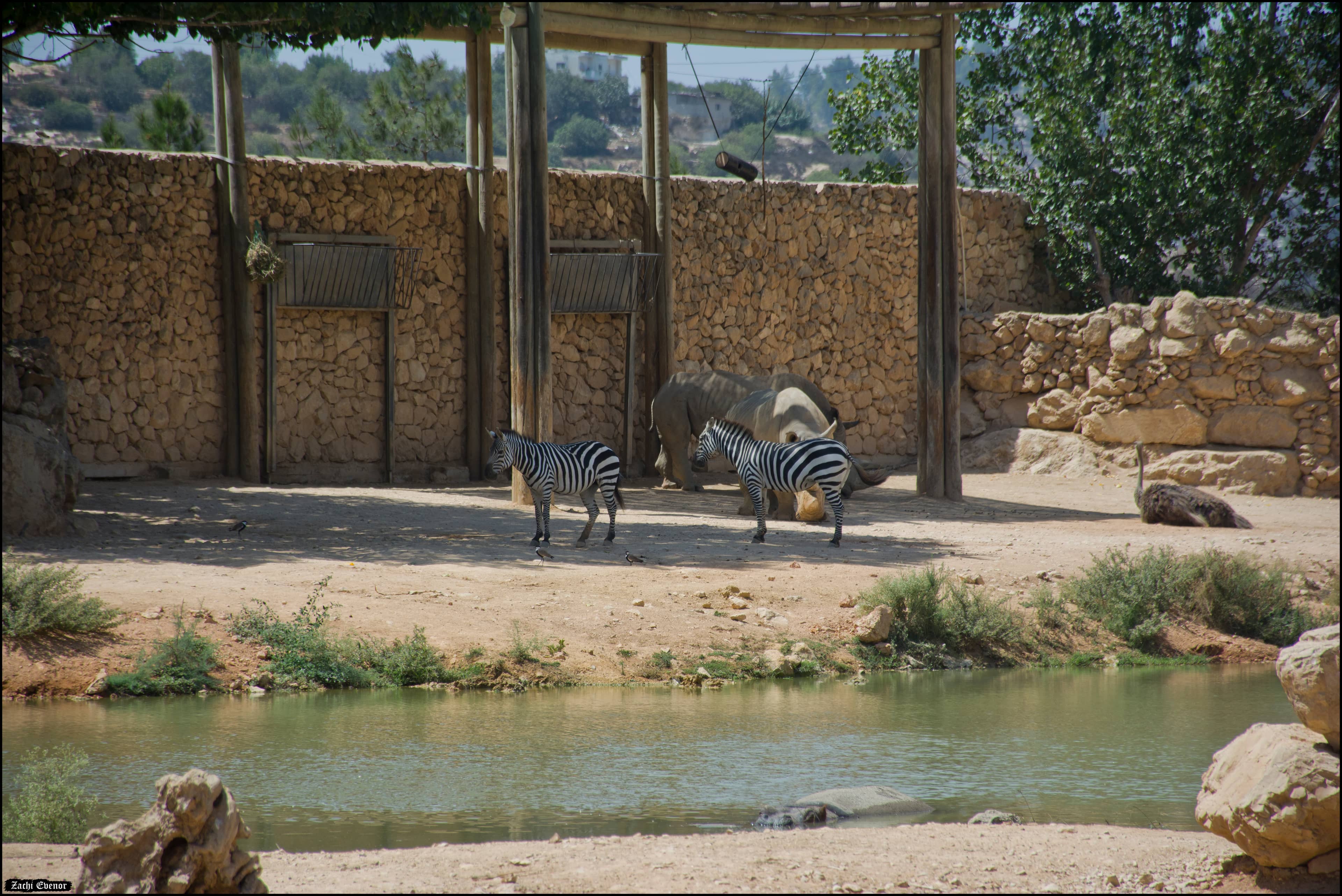Panoramic Jerusalem Views