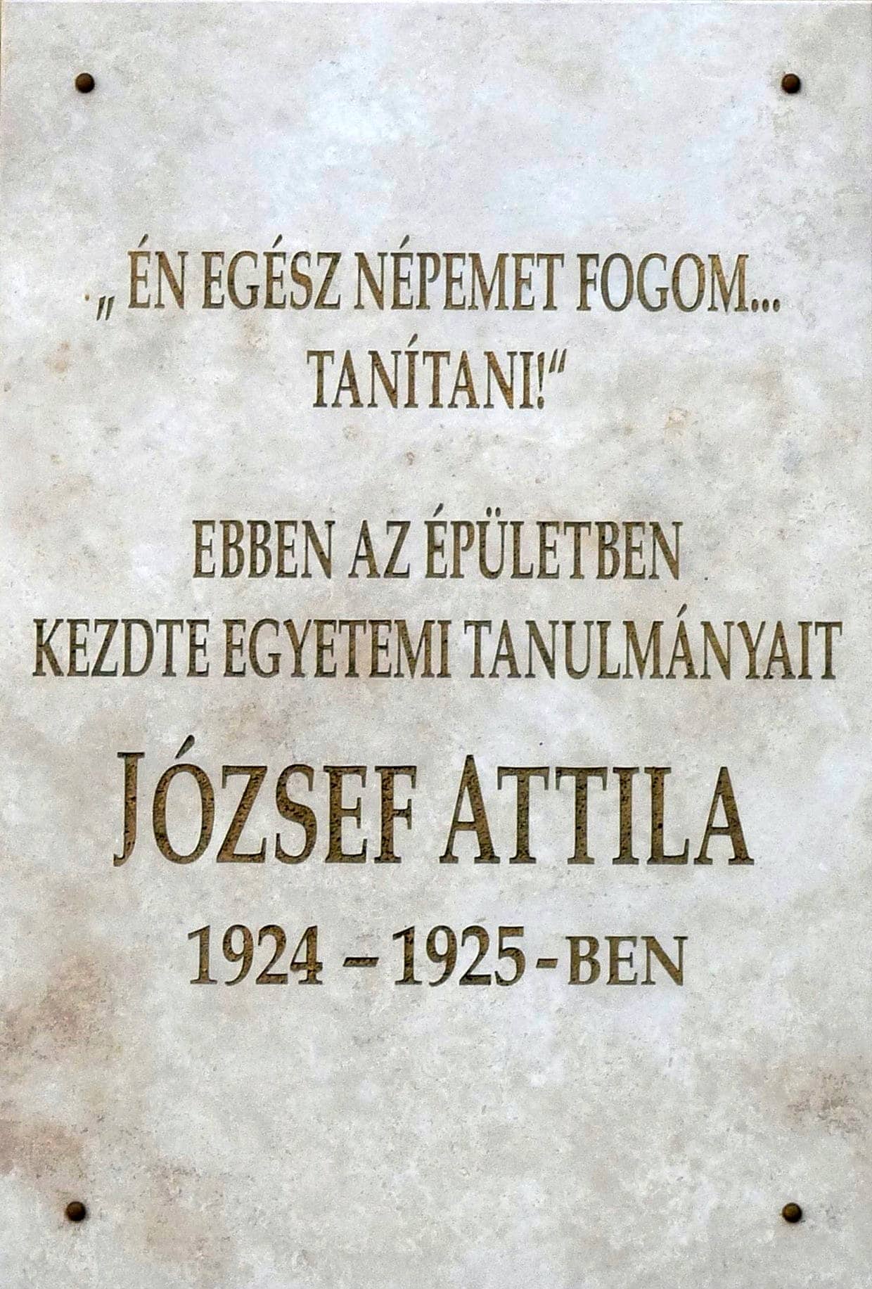 Vibrant Local Atmosphere