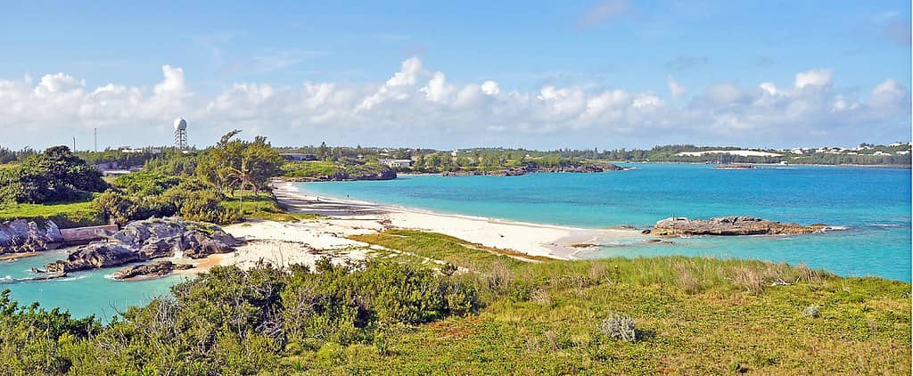 Cooper's Observation Tower