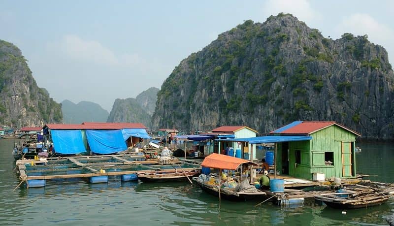 Lan Ha Bay Serenity