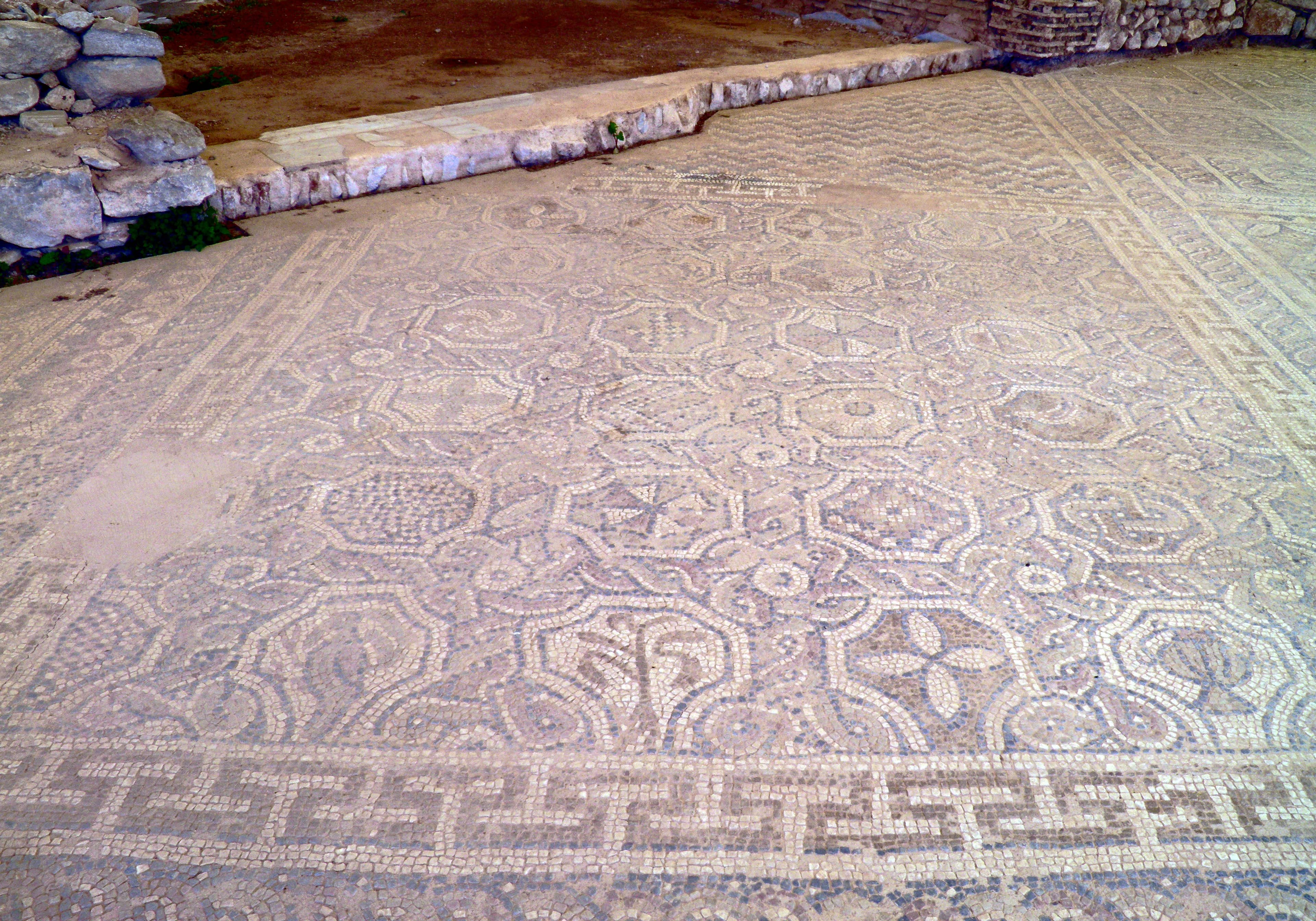 Roman Forum and Mosaics