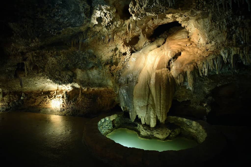 Knowledgeable Guided Tours