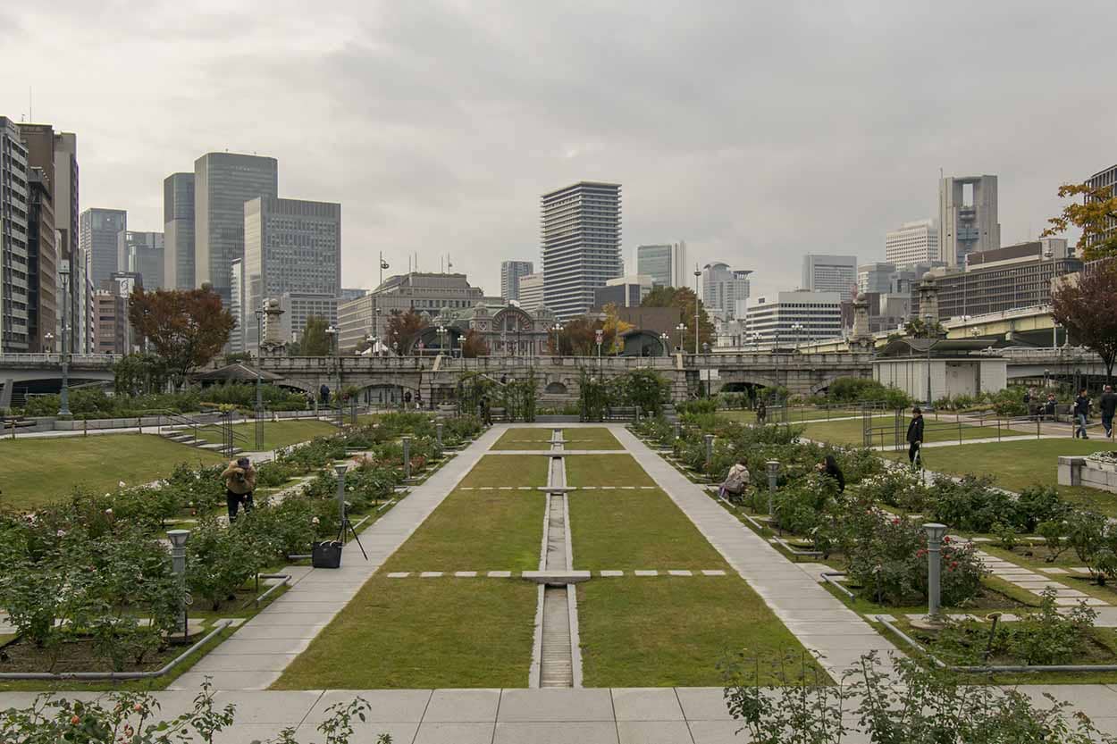 Rinku Park's Green Spaces