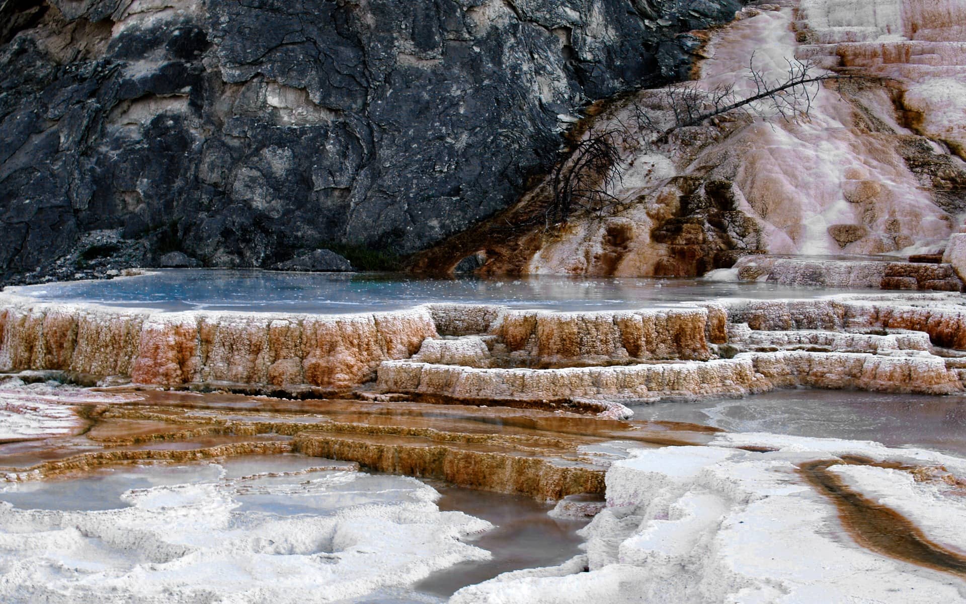 Mammoth Hot Springs Terraces