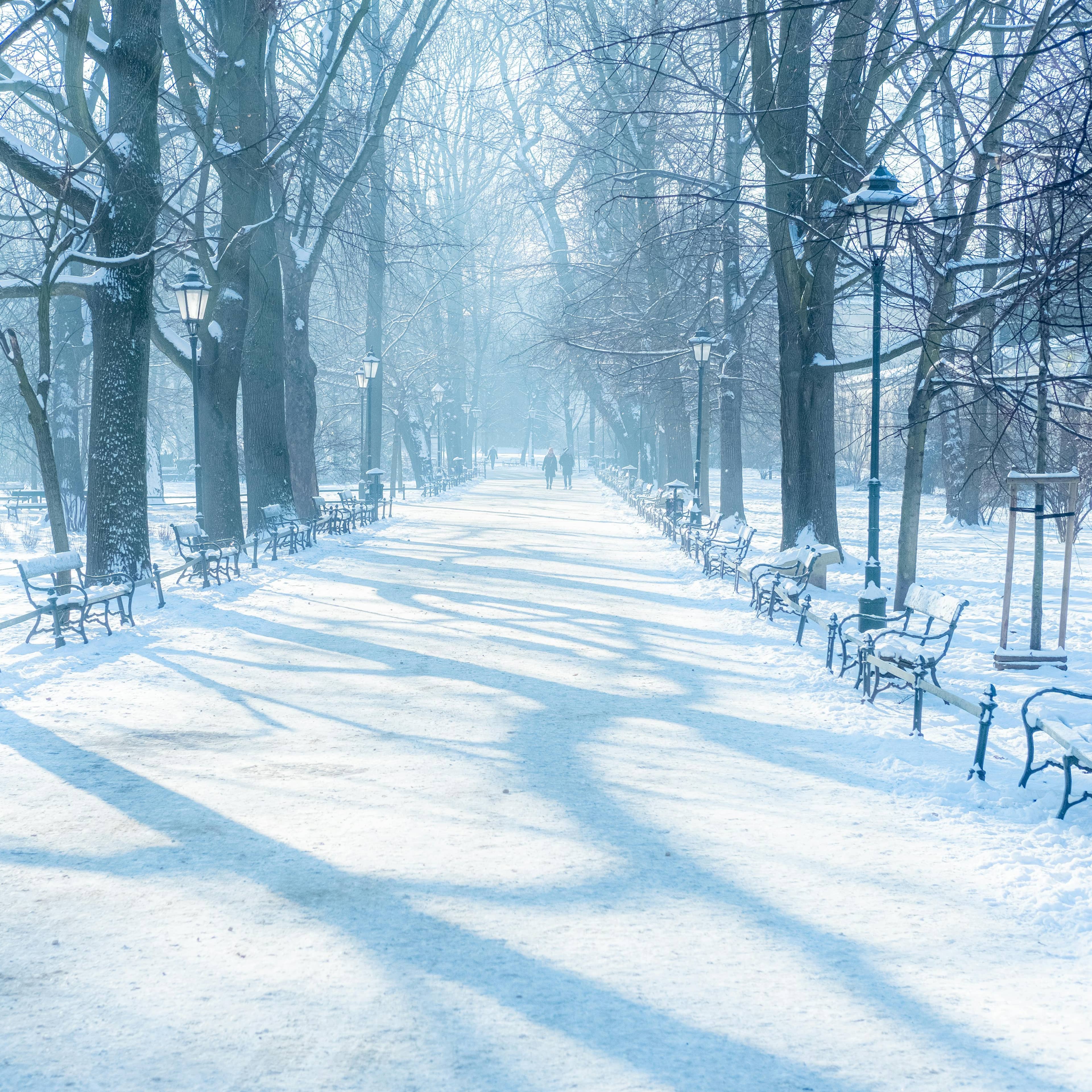 Wolski Forest Trails