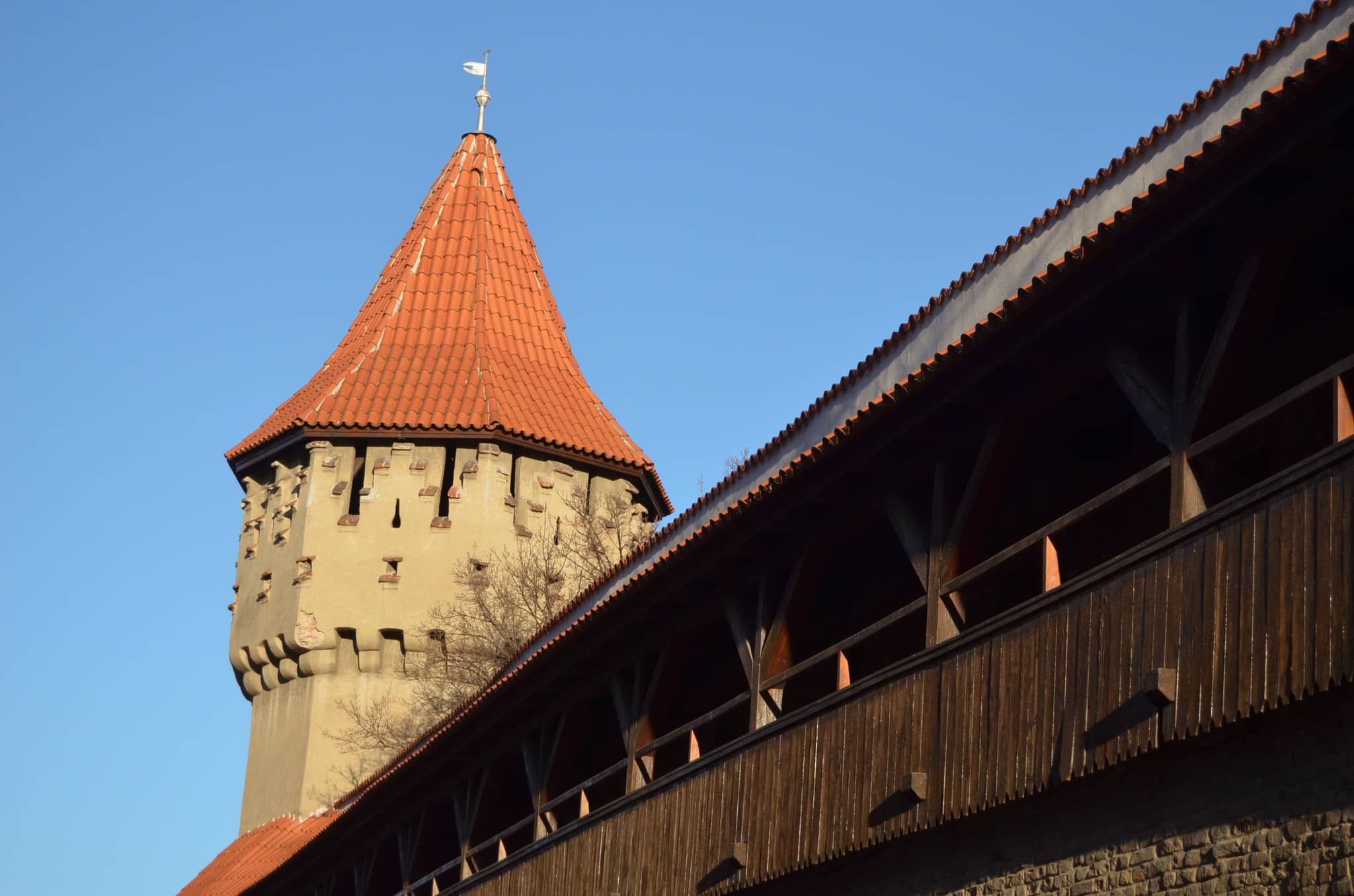 Fortress Remnants Walking Tour