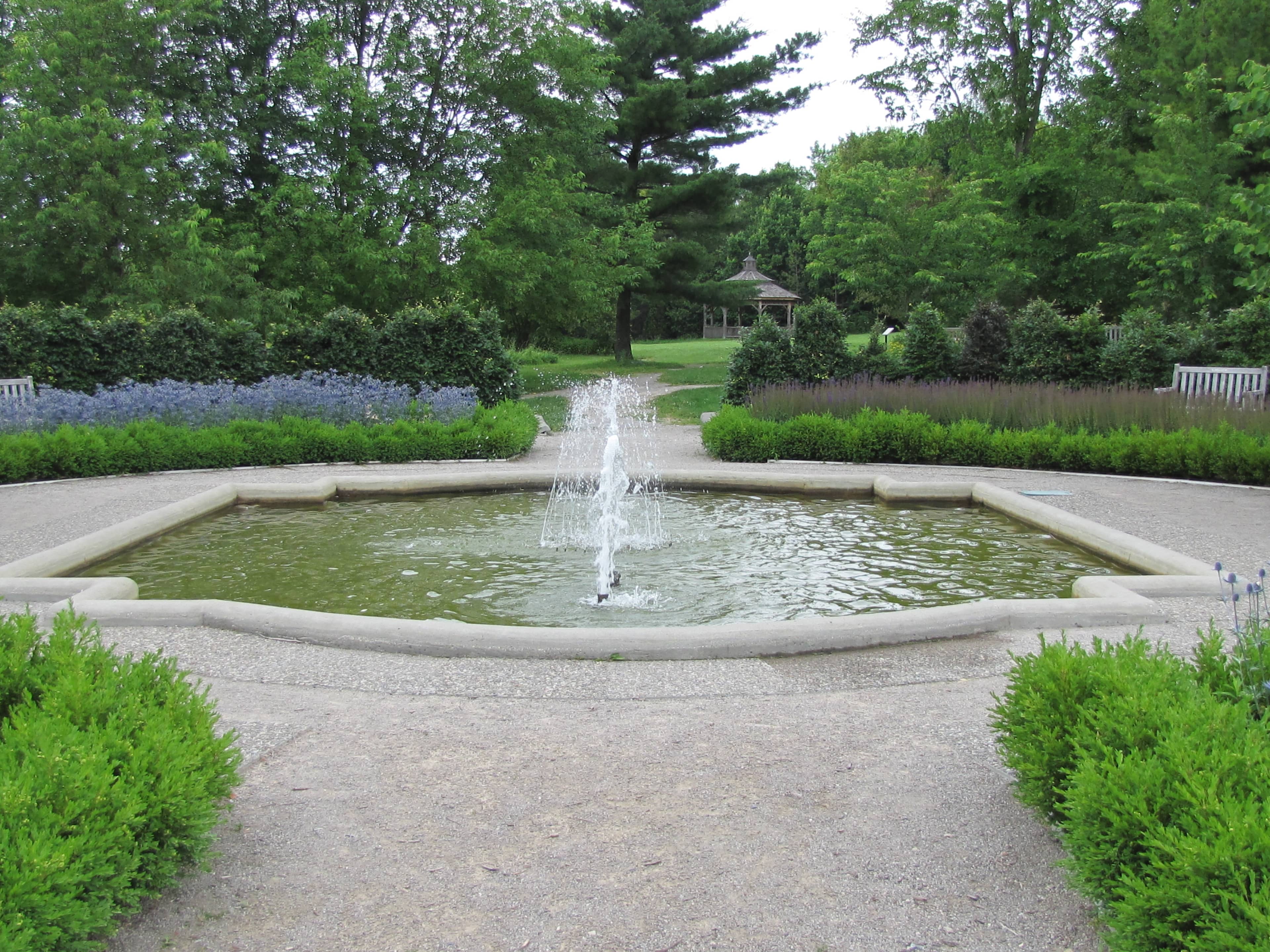 The Fountain