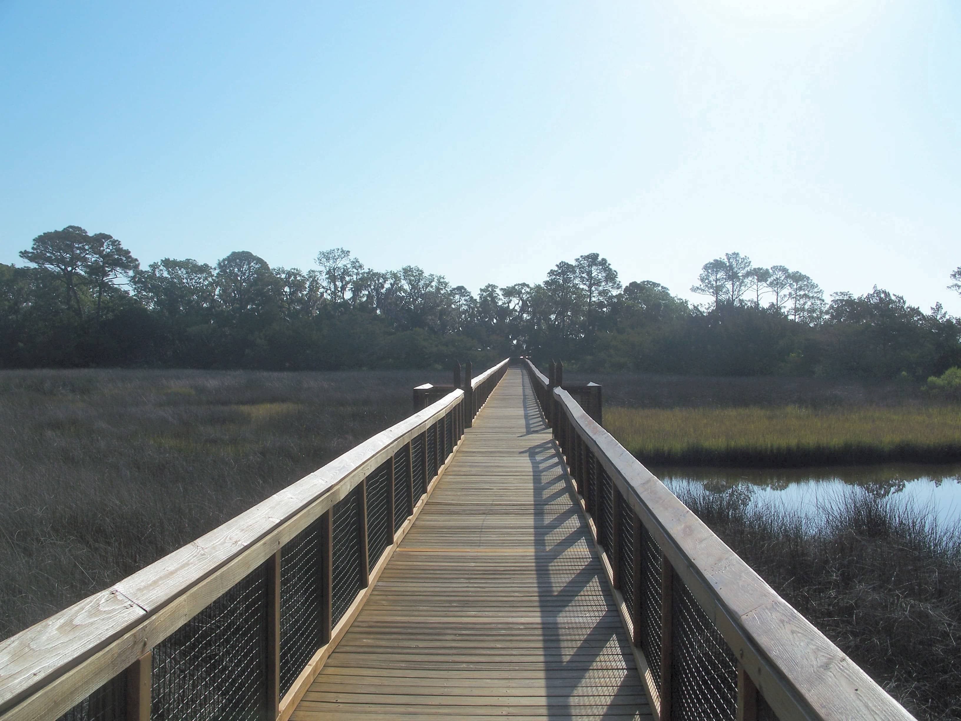 Boardwalk Through the Marsh