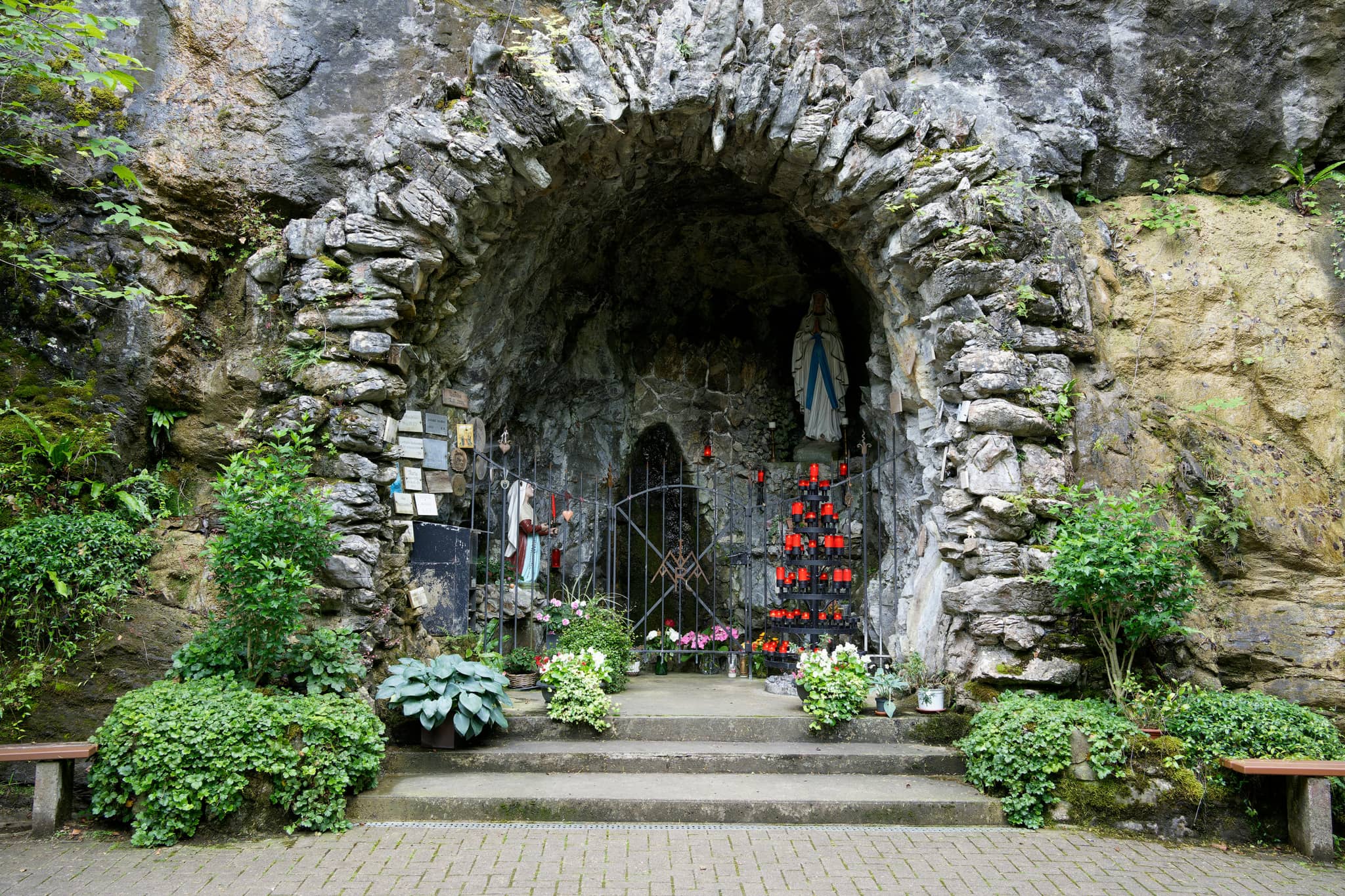 Surrounding Lush Foliage