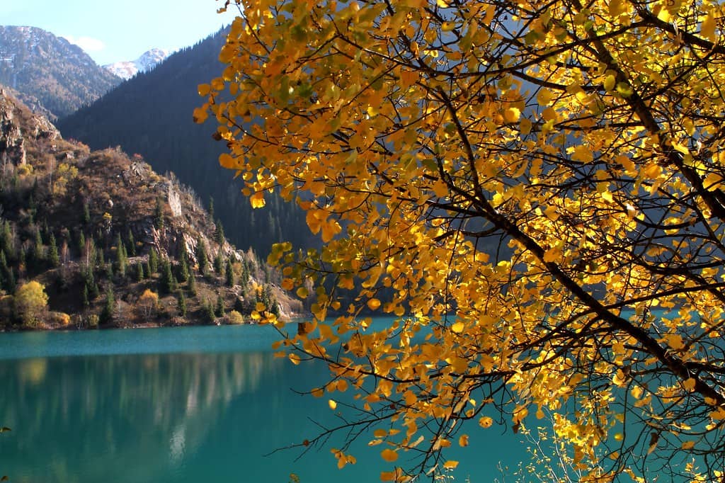 Autumn Ambiance