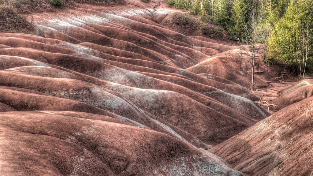 Designated Viewing Platform