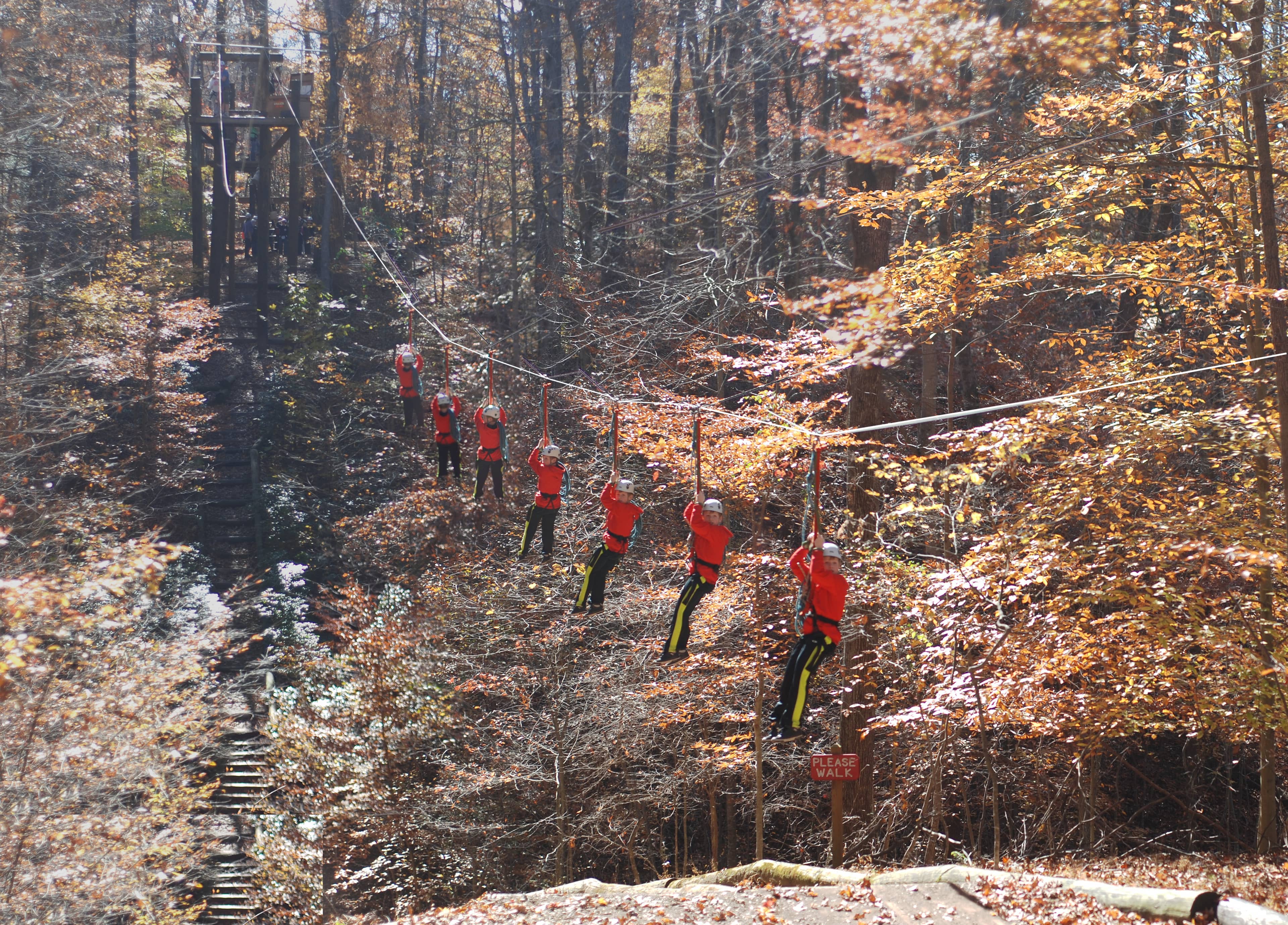 Exhilarating Zip Lines