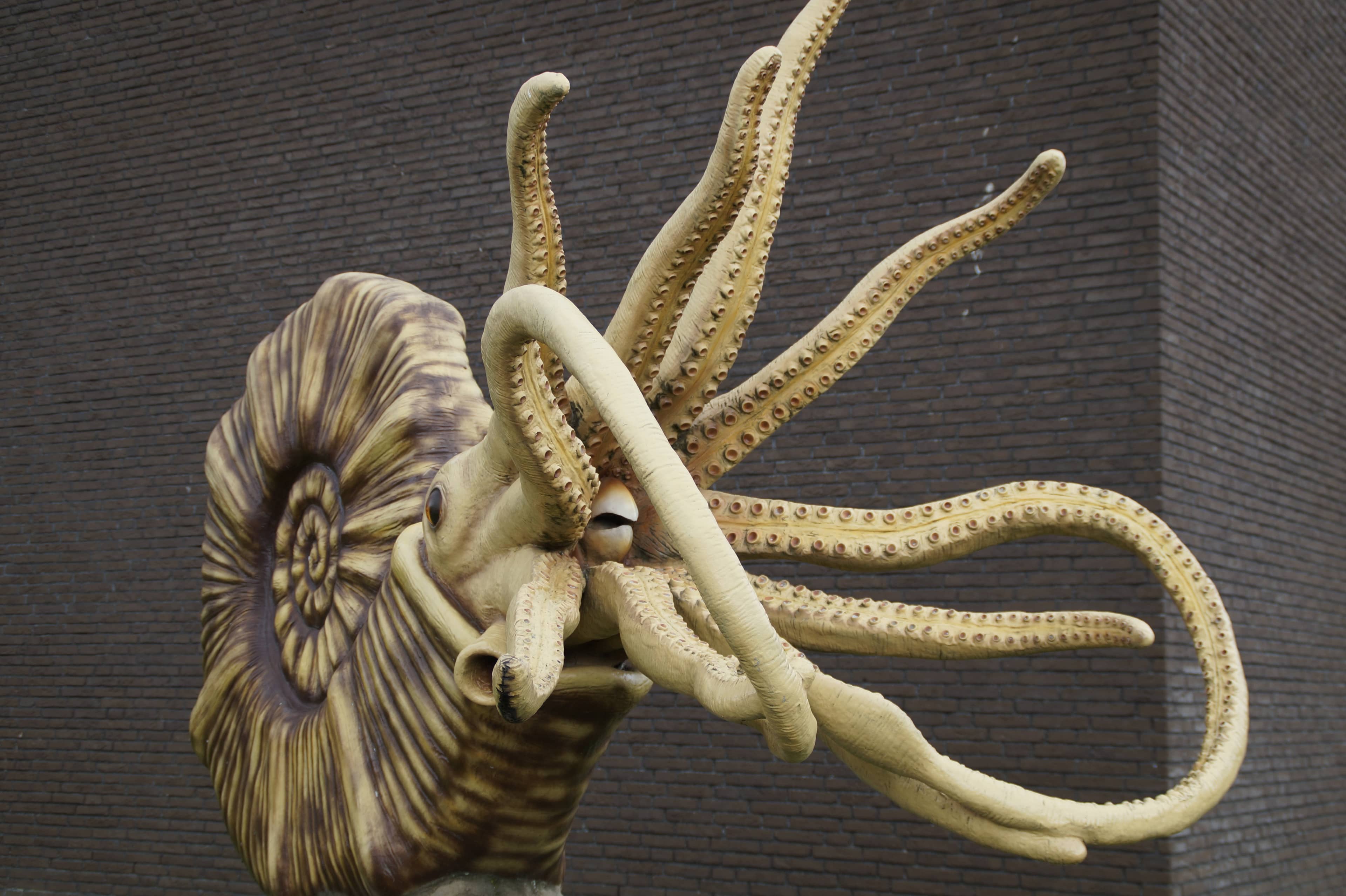 Ancient Flora and Fauna