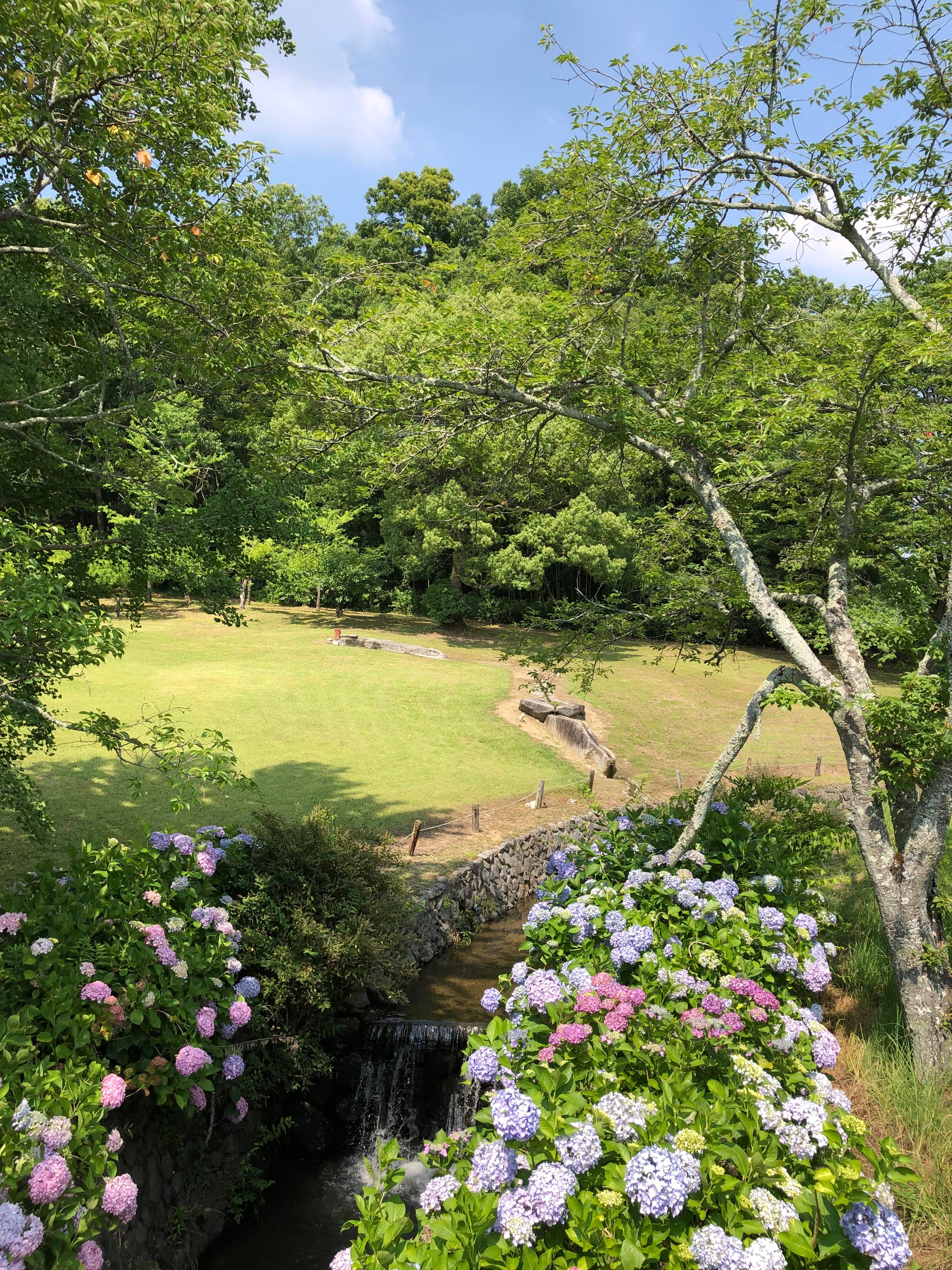 Tranquil Museum Garden