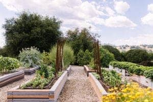 Vineyard Views & Terrace Tastings