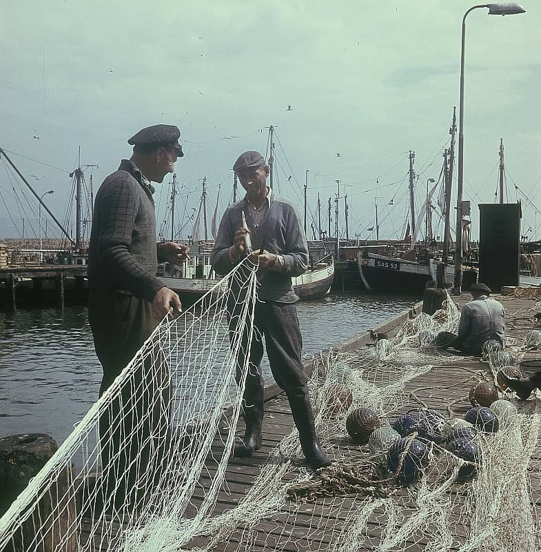 Bridge Fishing