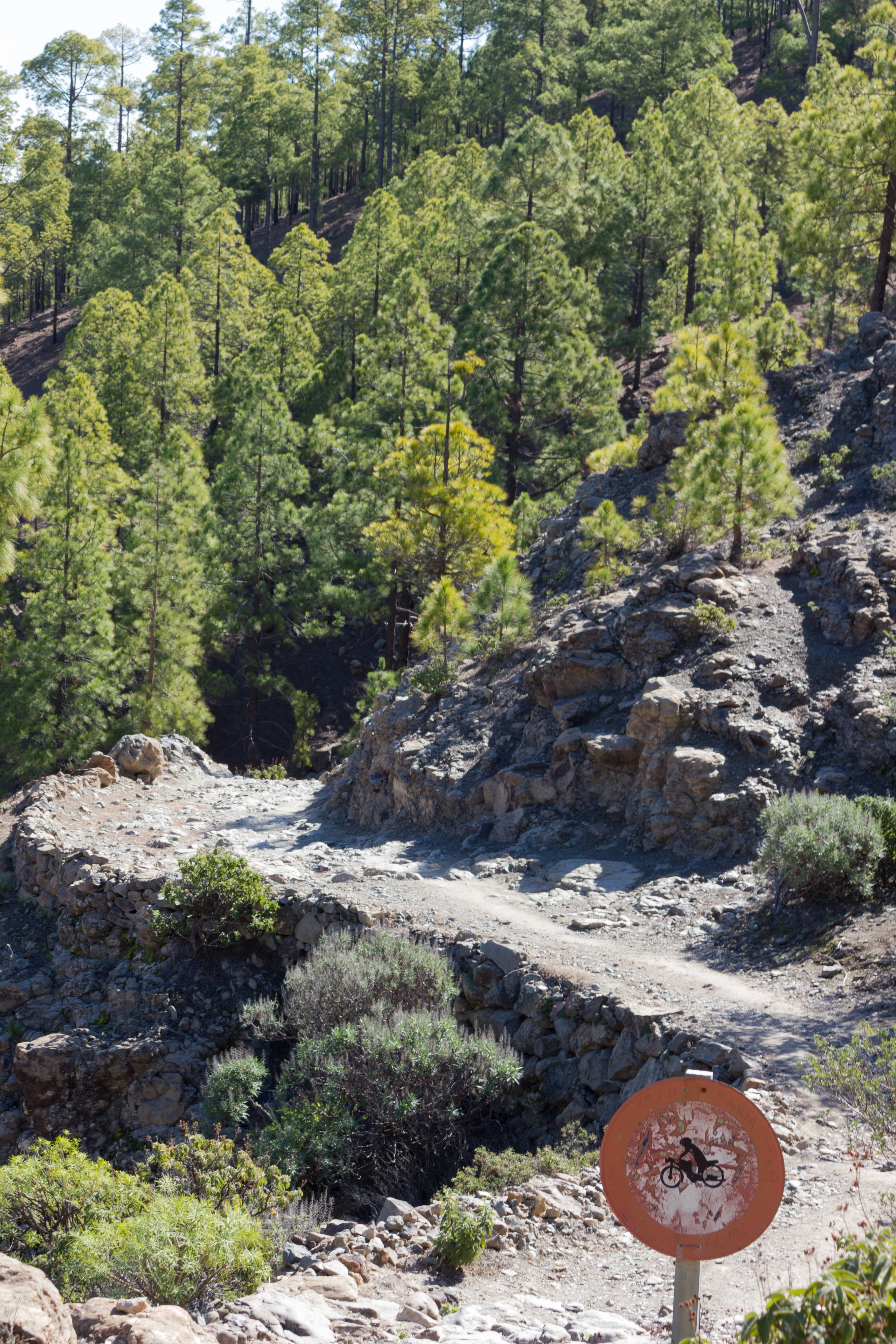 Diverse Hiking Trails
