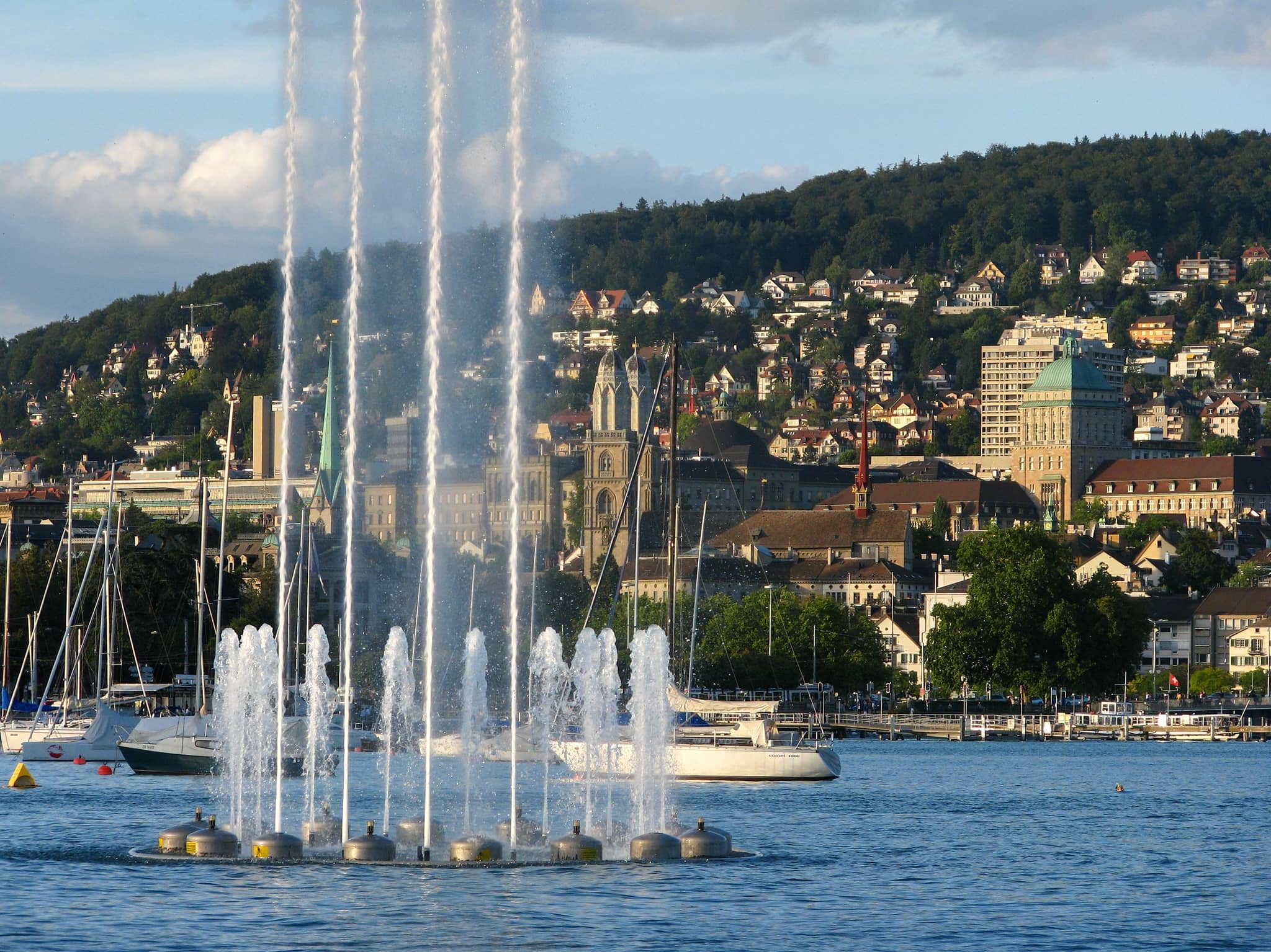 Lake Zurich Views
