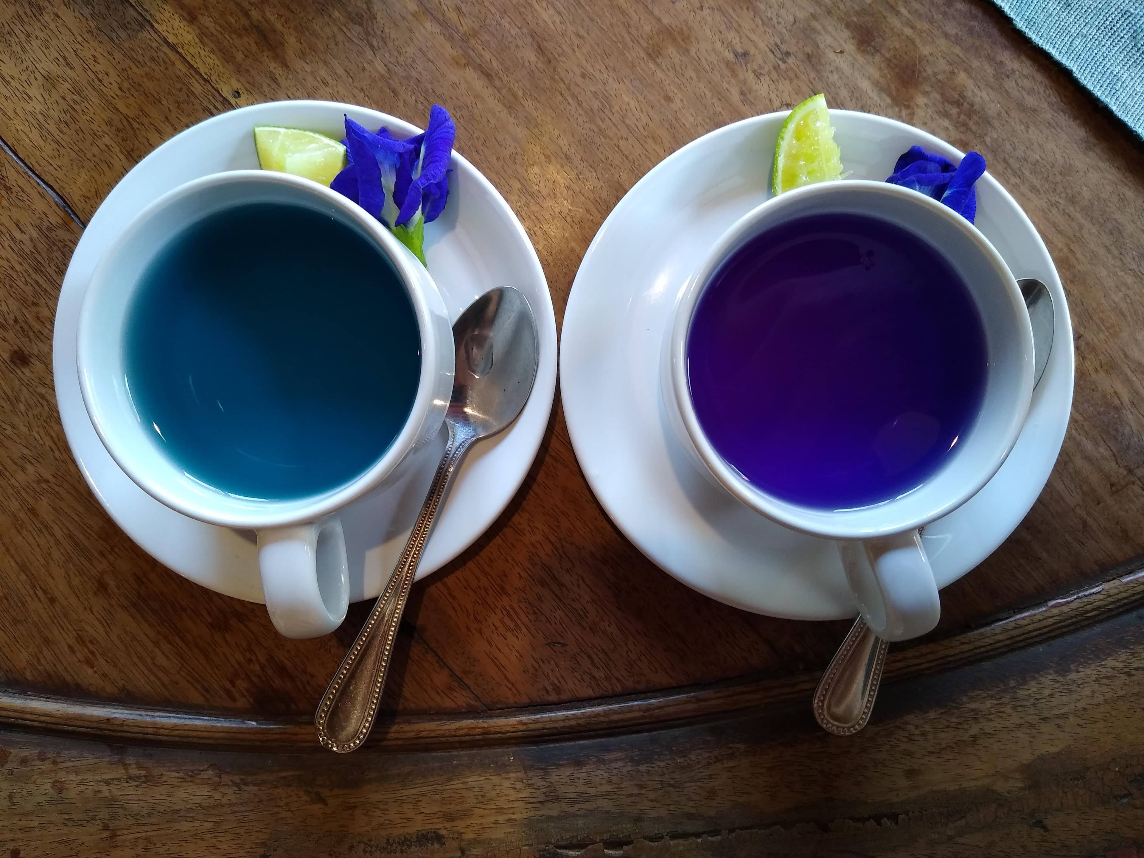 Butterfly Pea Tea