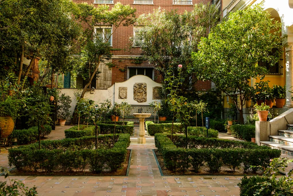 Tranquil Garden Oasis