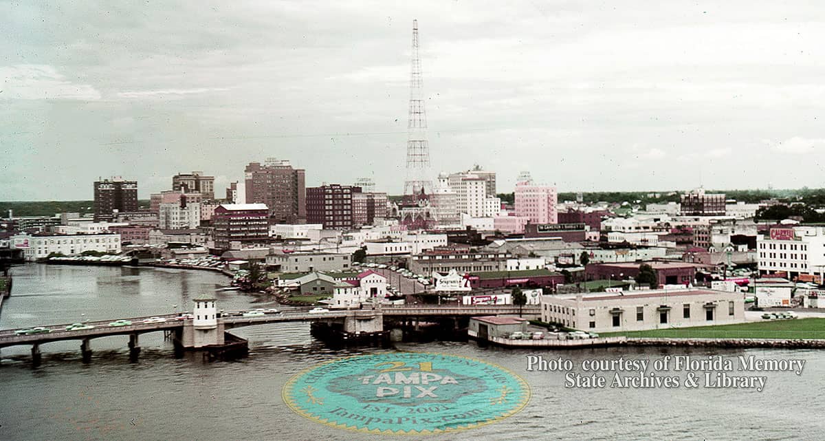 Open Fields & Dog Runs