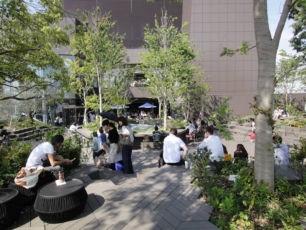 Omohara Forest Rooftop
