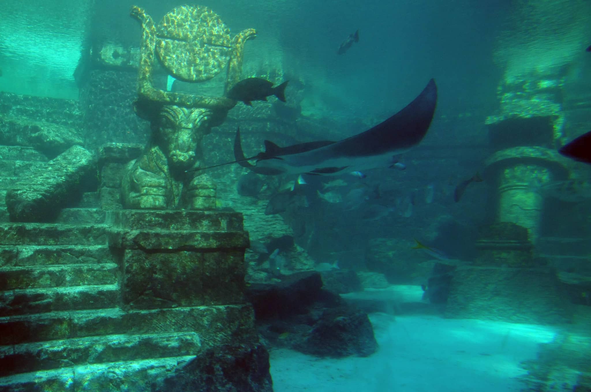 Marine Habitats & Aquariums