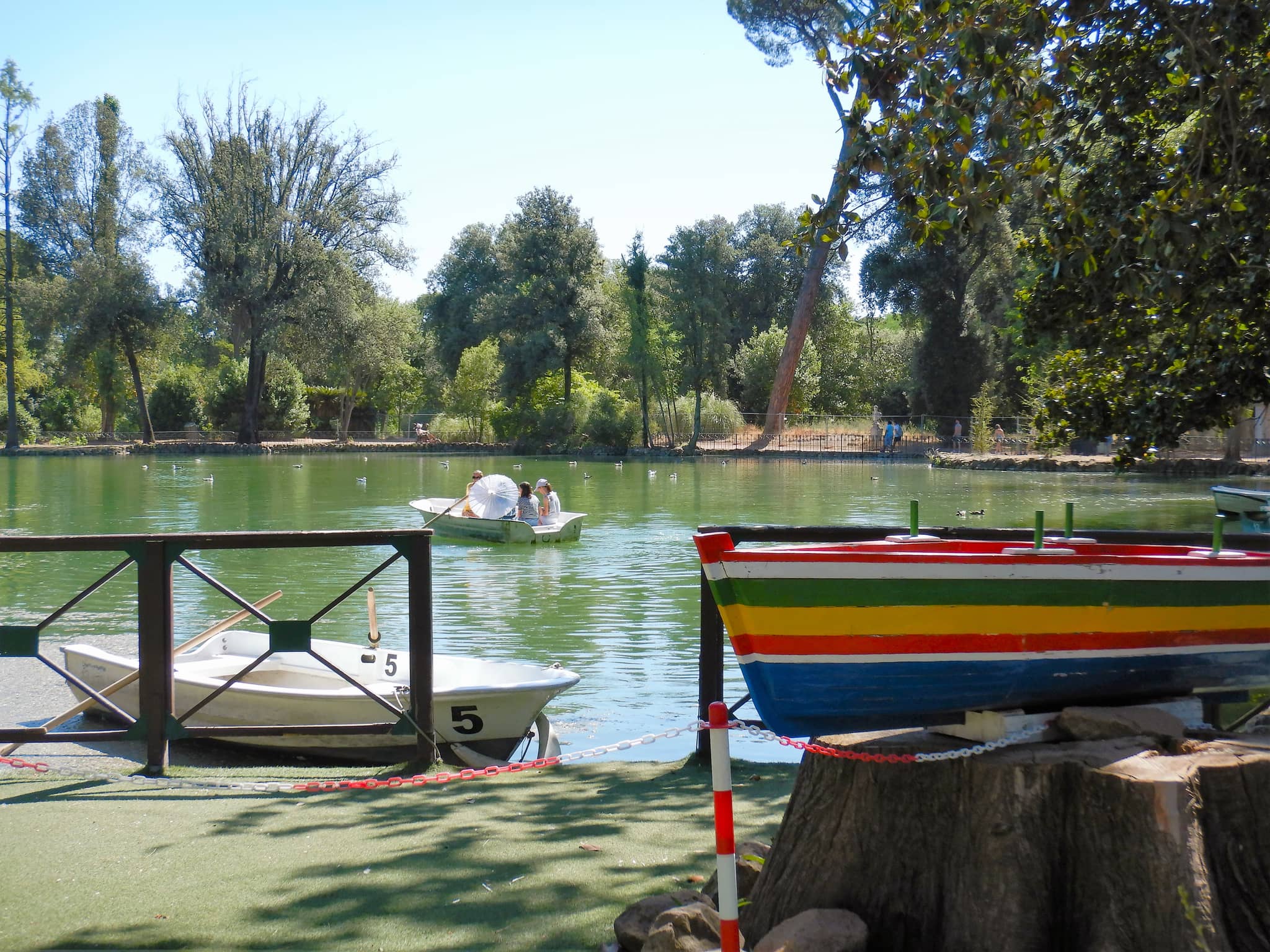Boating on the Lake