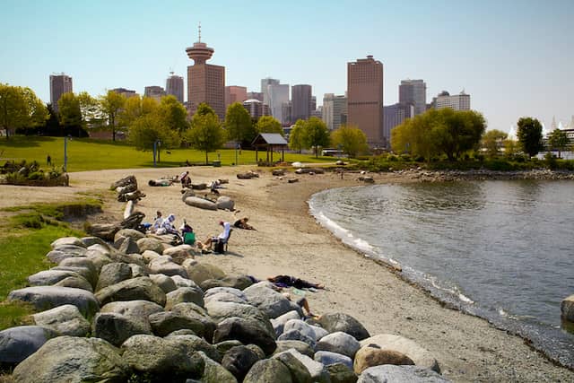 Dog-Friendly Beach