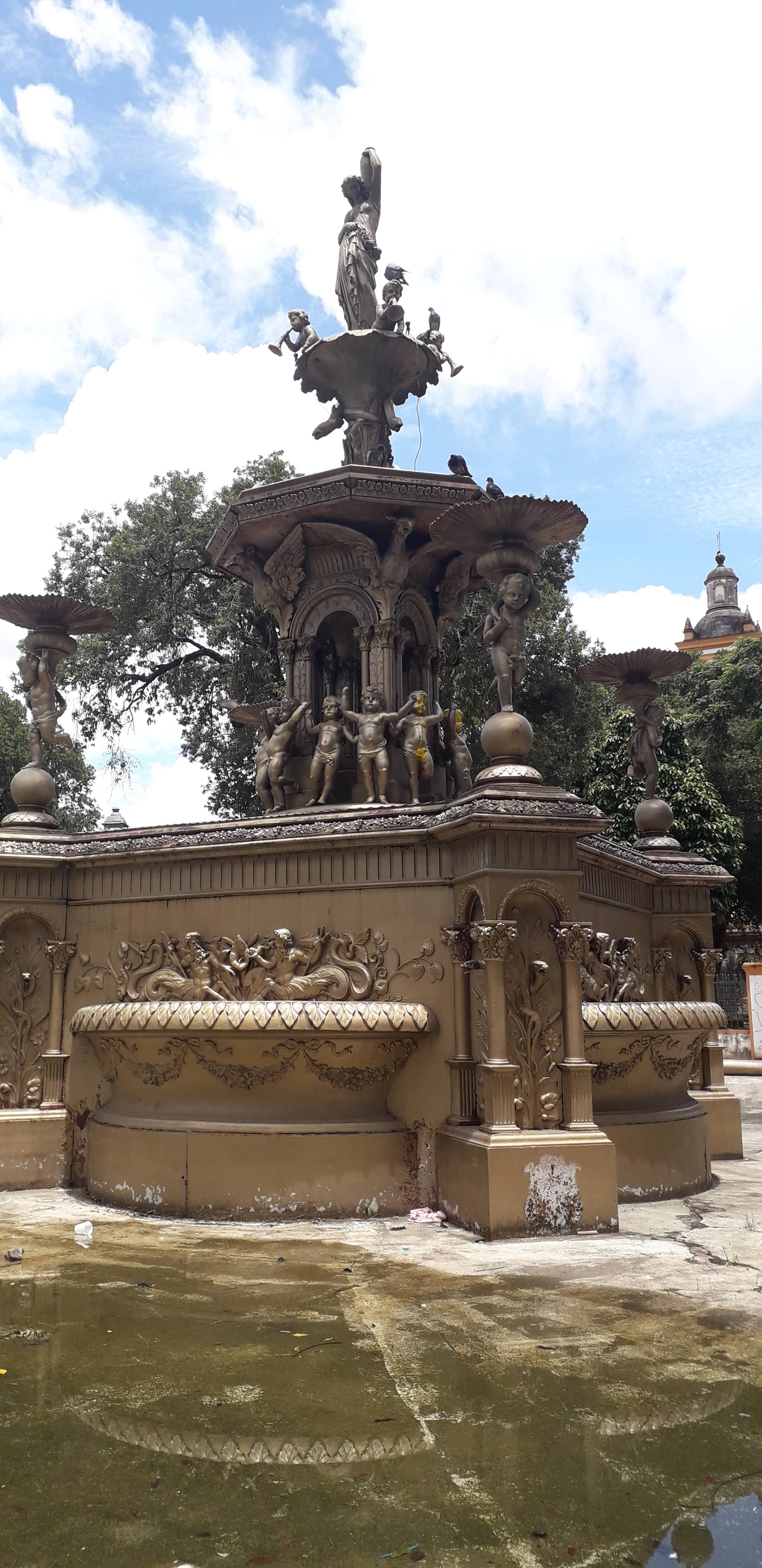 Mature Trees and Fountain